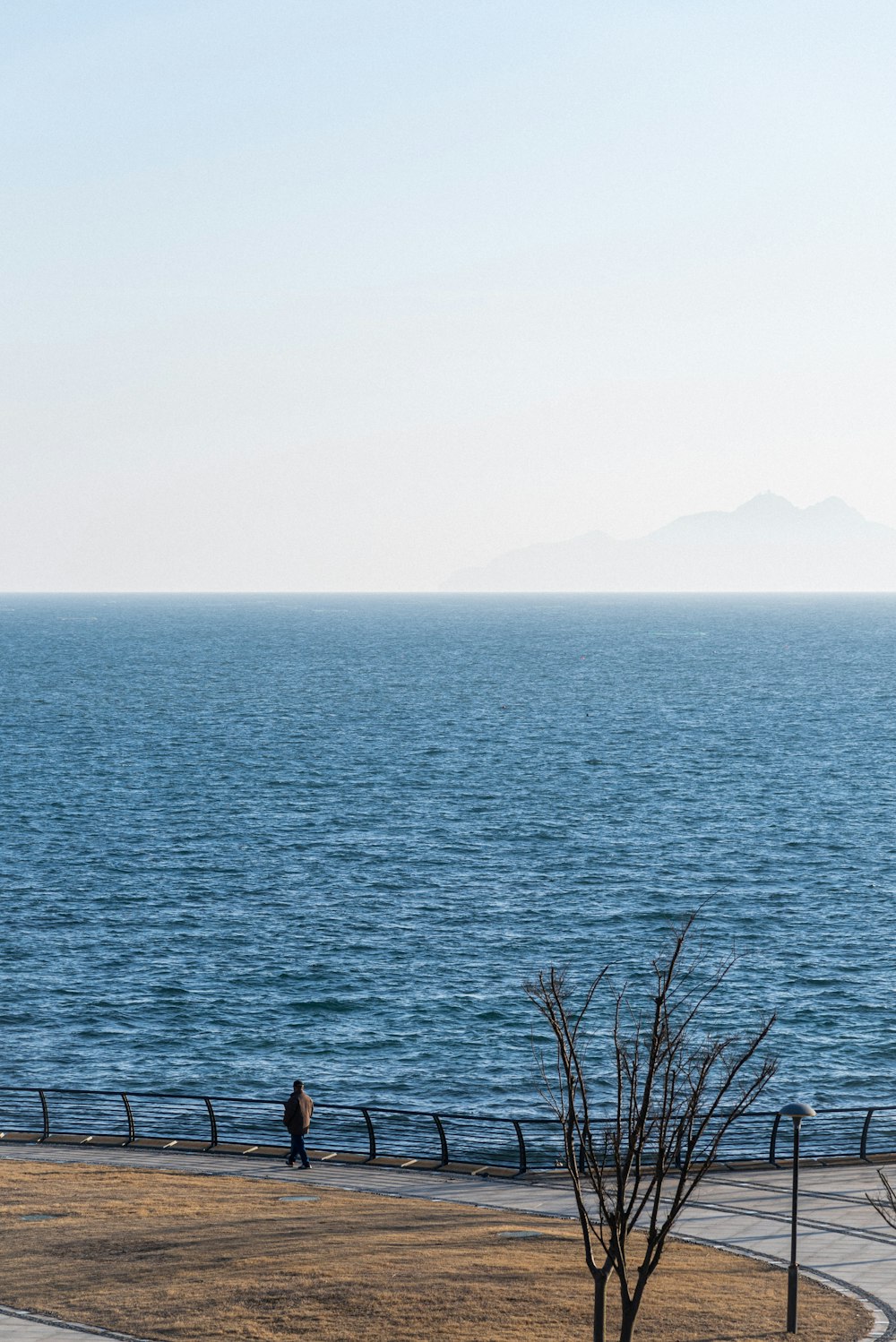 a person walking on a path next to the ocean