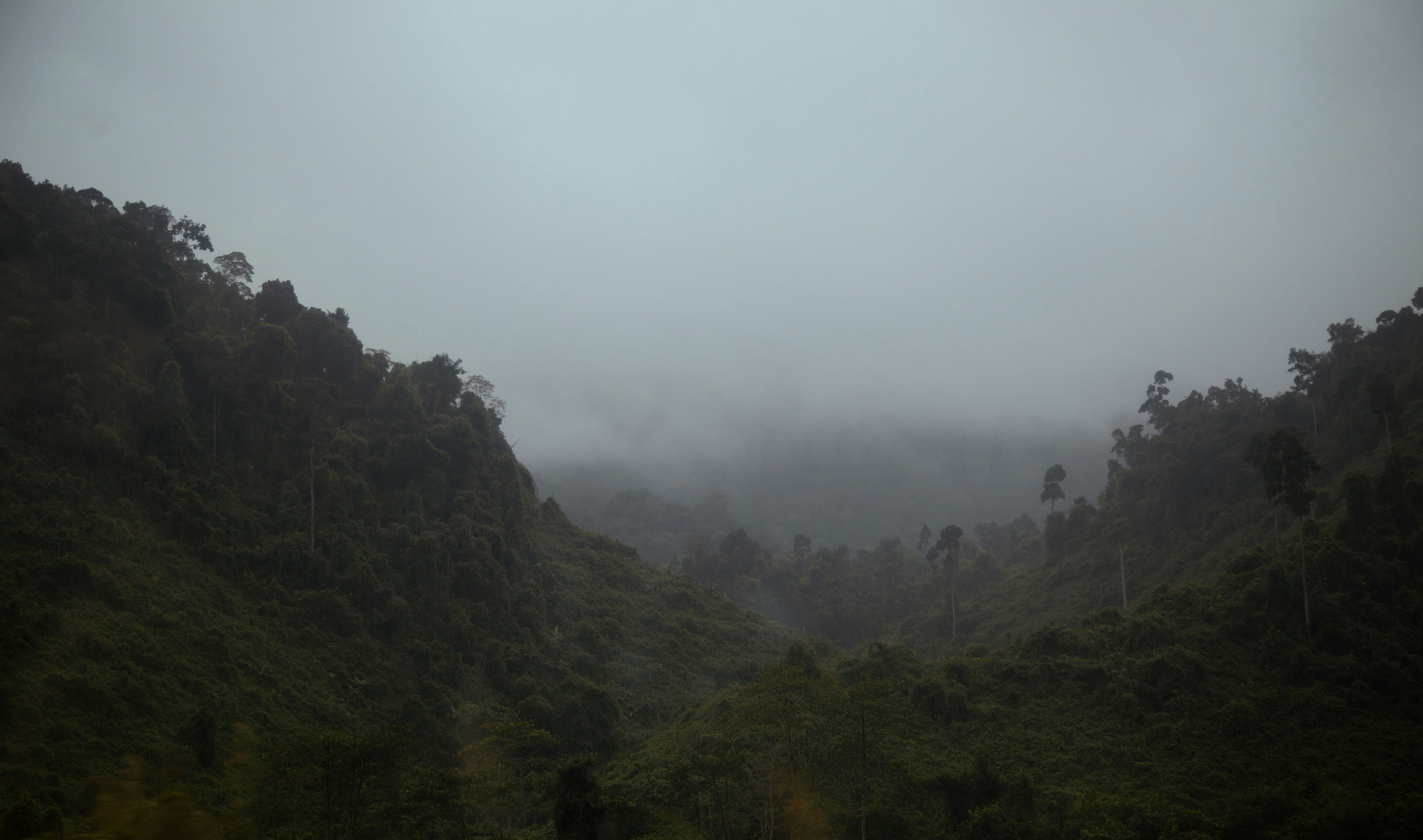 Photo by chankhang04