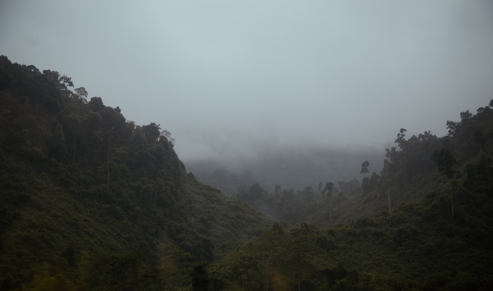 a foggy mountain with trees on the side