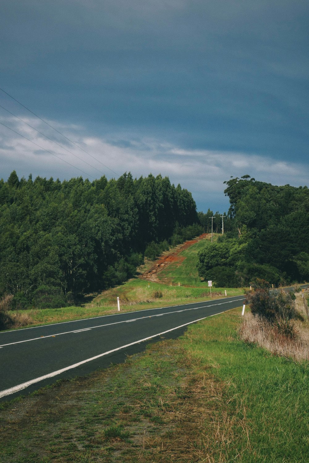 a long road with trees on the side of it