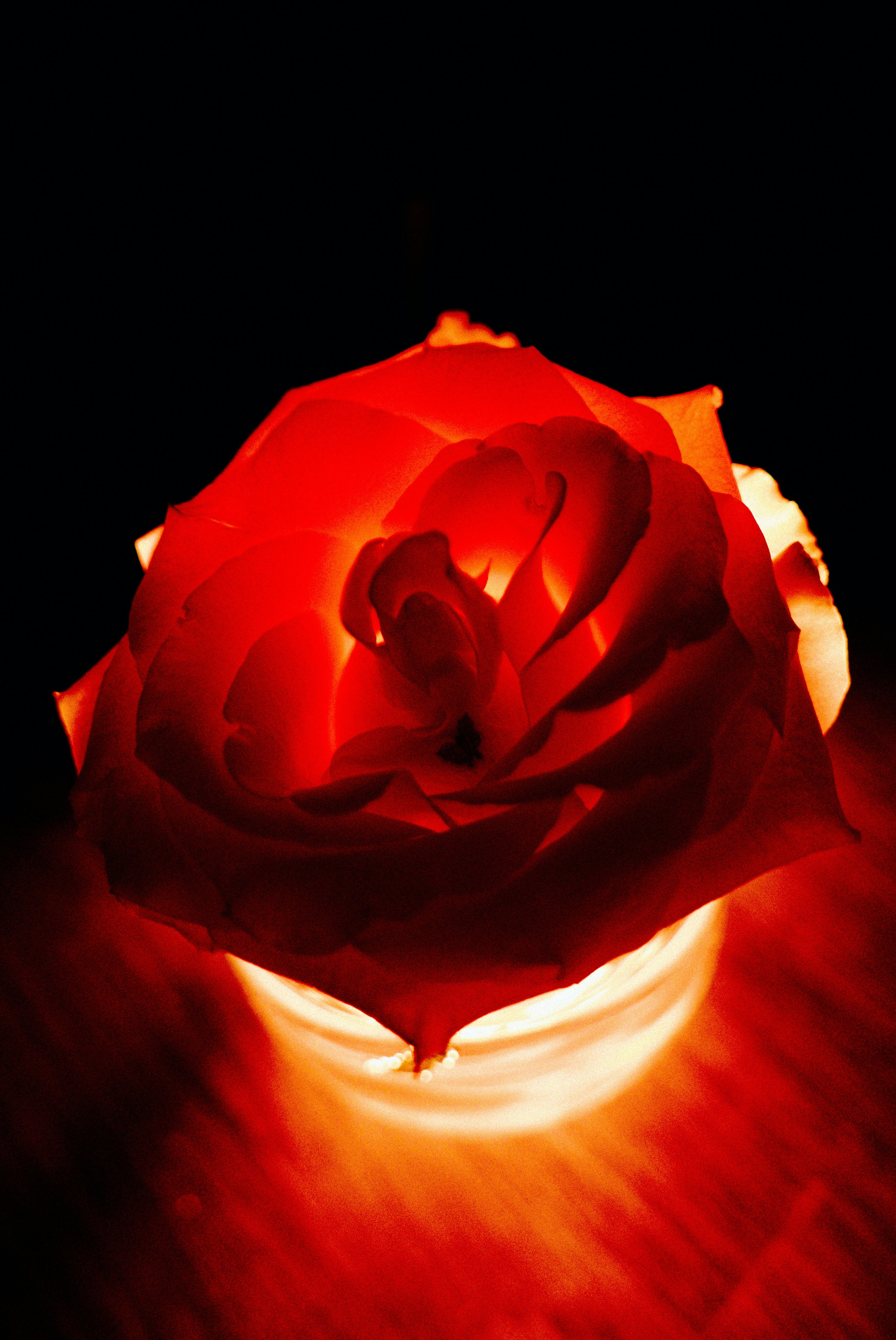 Photo by vitalymazur