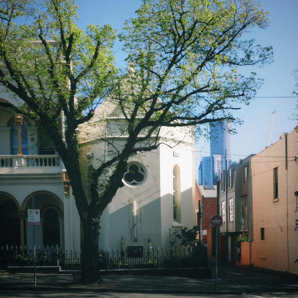 a large white building with a tree in front of it