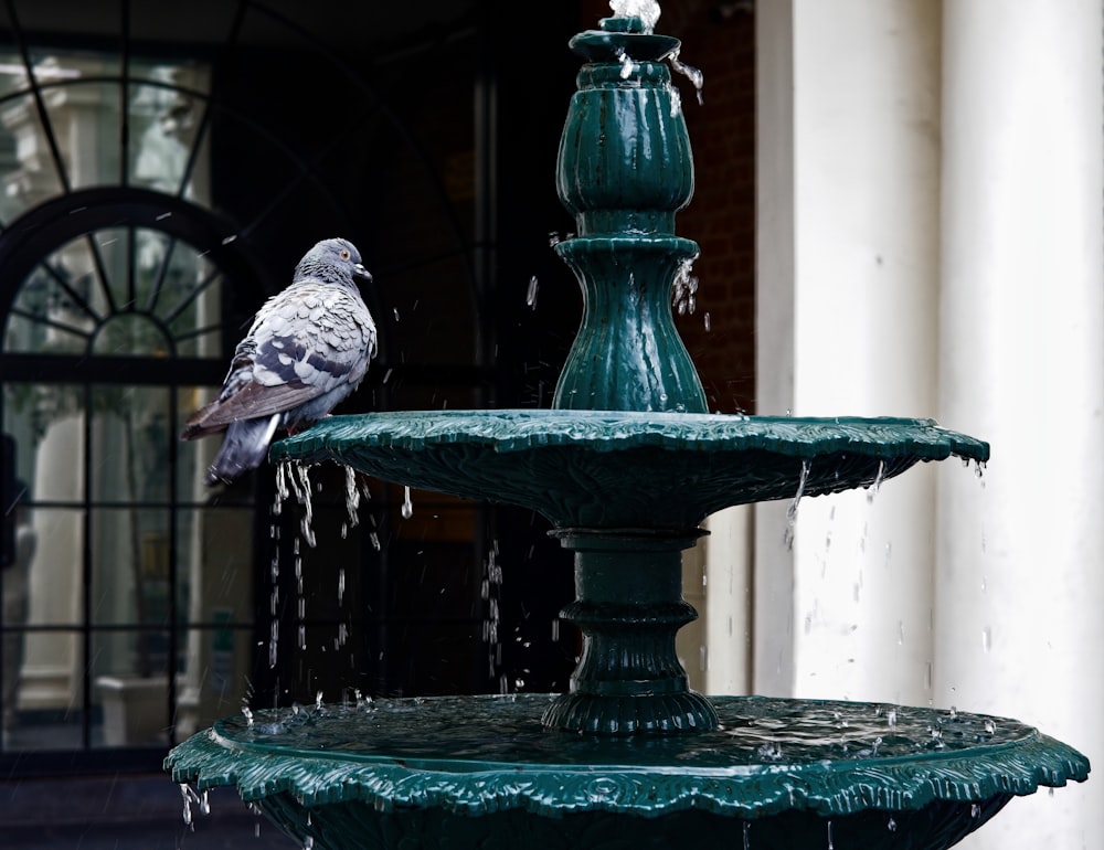 a bird sitting on top of a green fountain