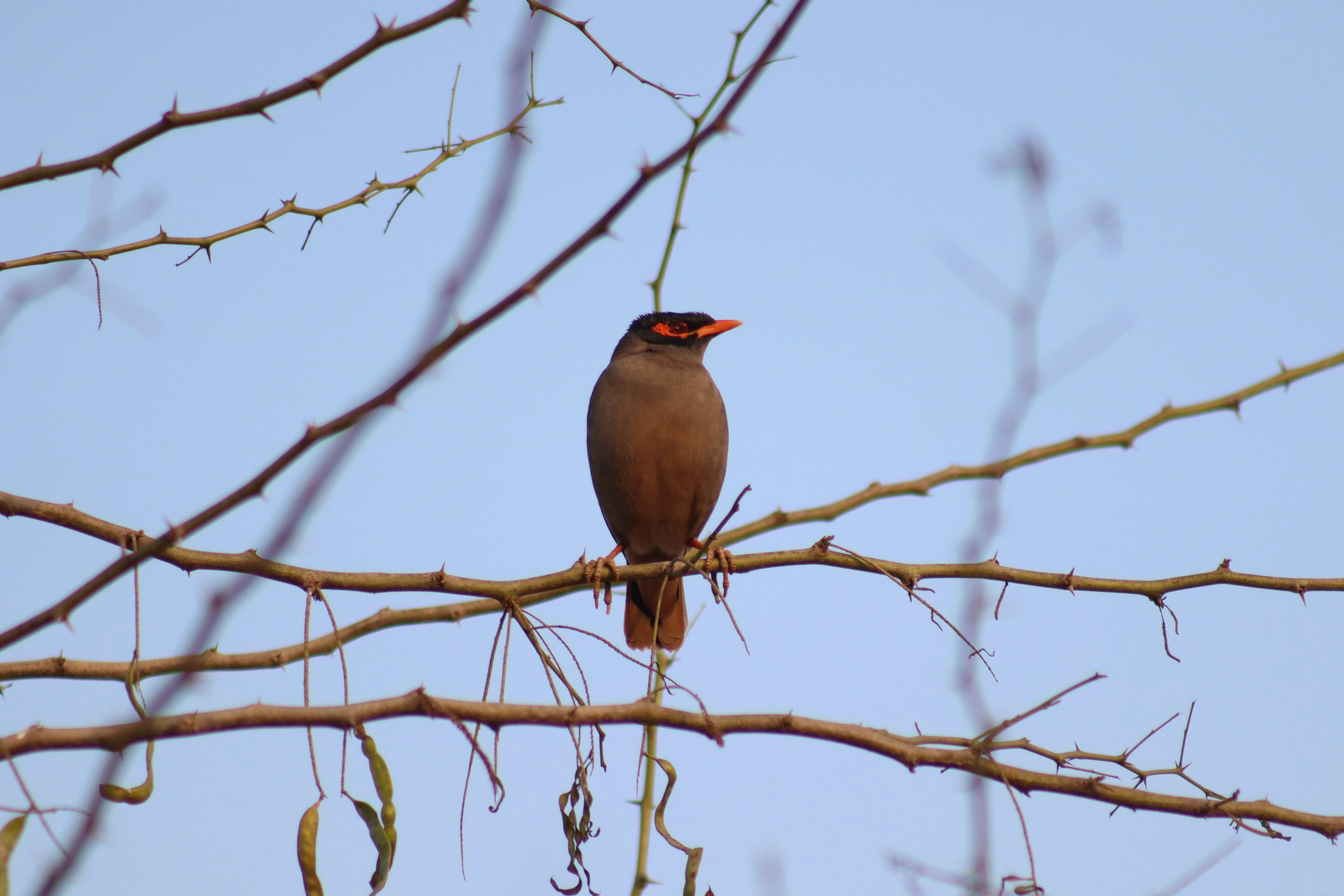 Photo by drphotographer152