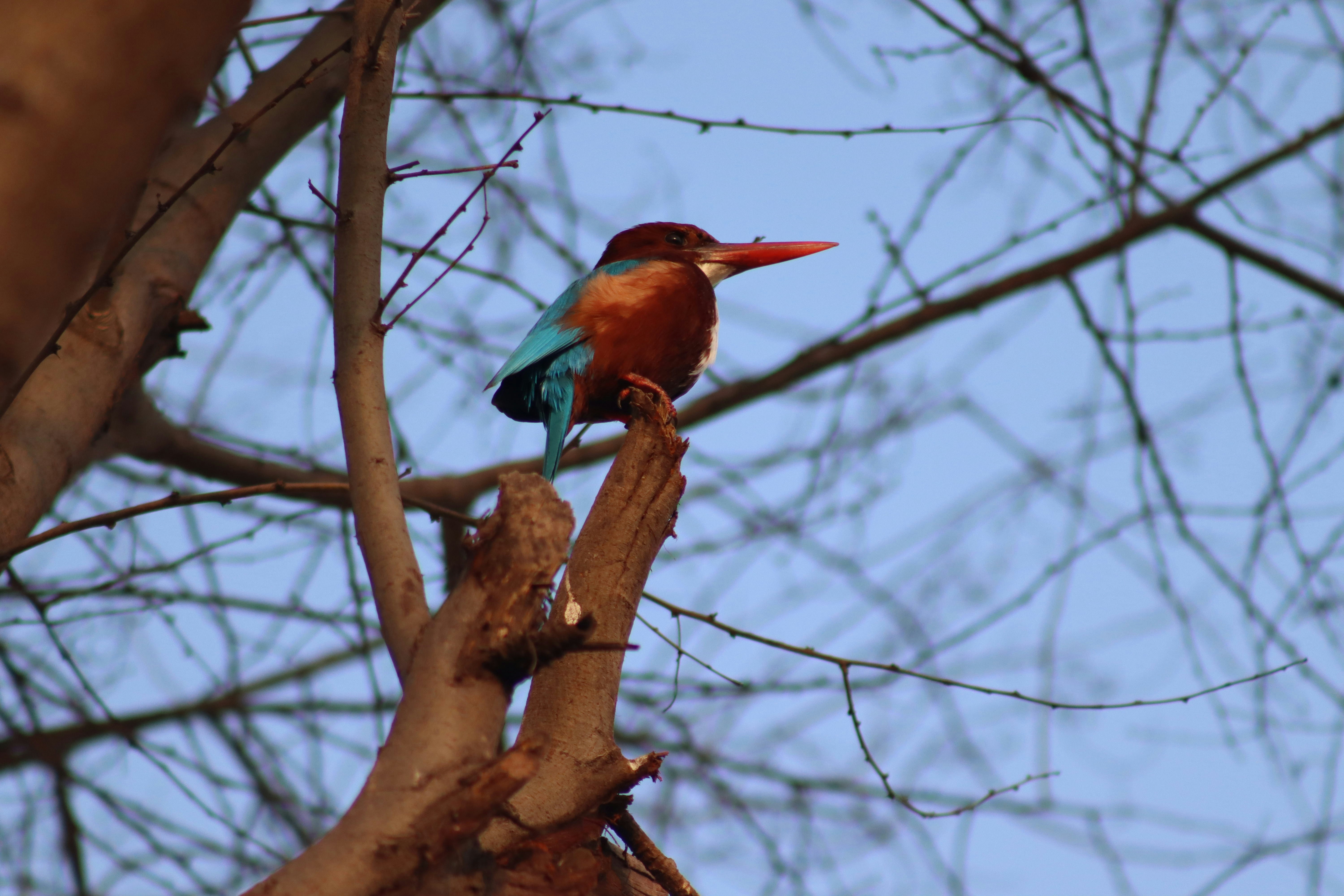 Photo by drphotographer152