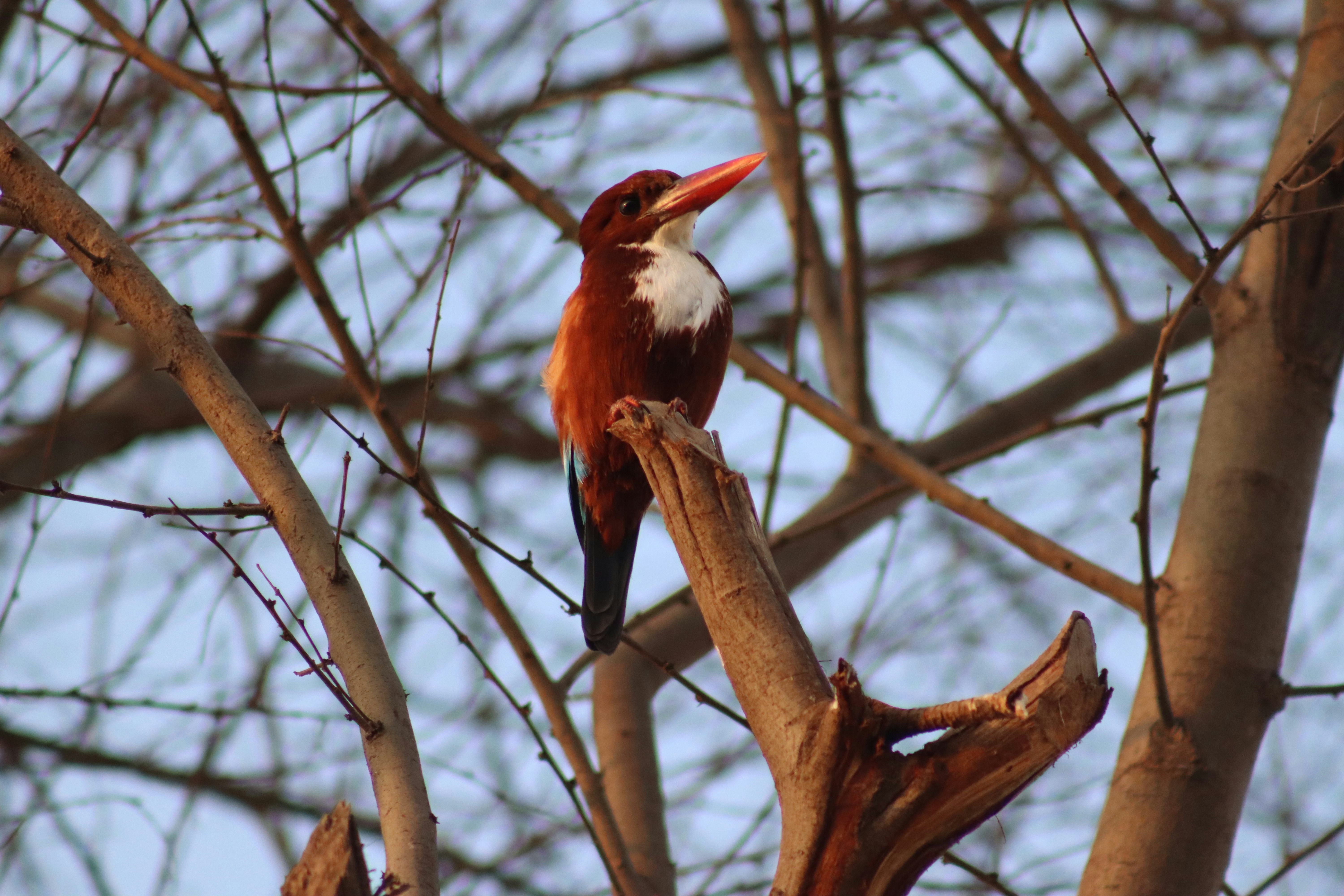 Photo by drphotographer152