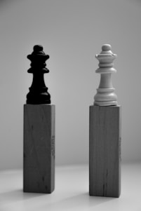 a black and white photo of two chess pieces