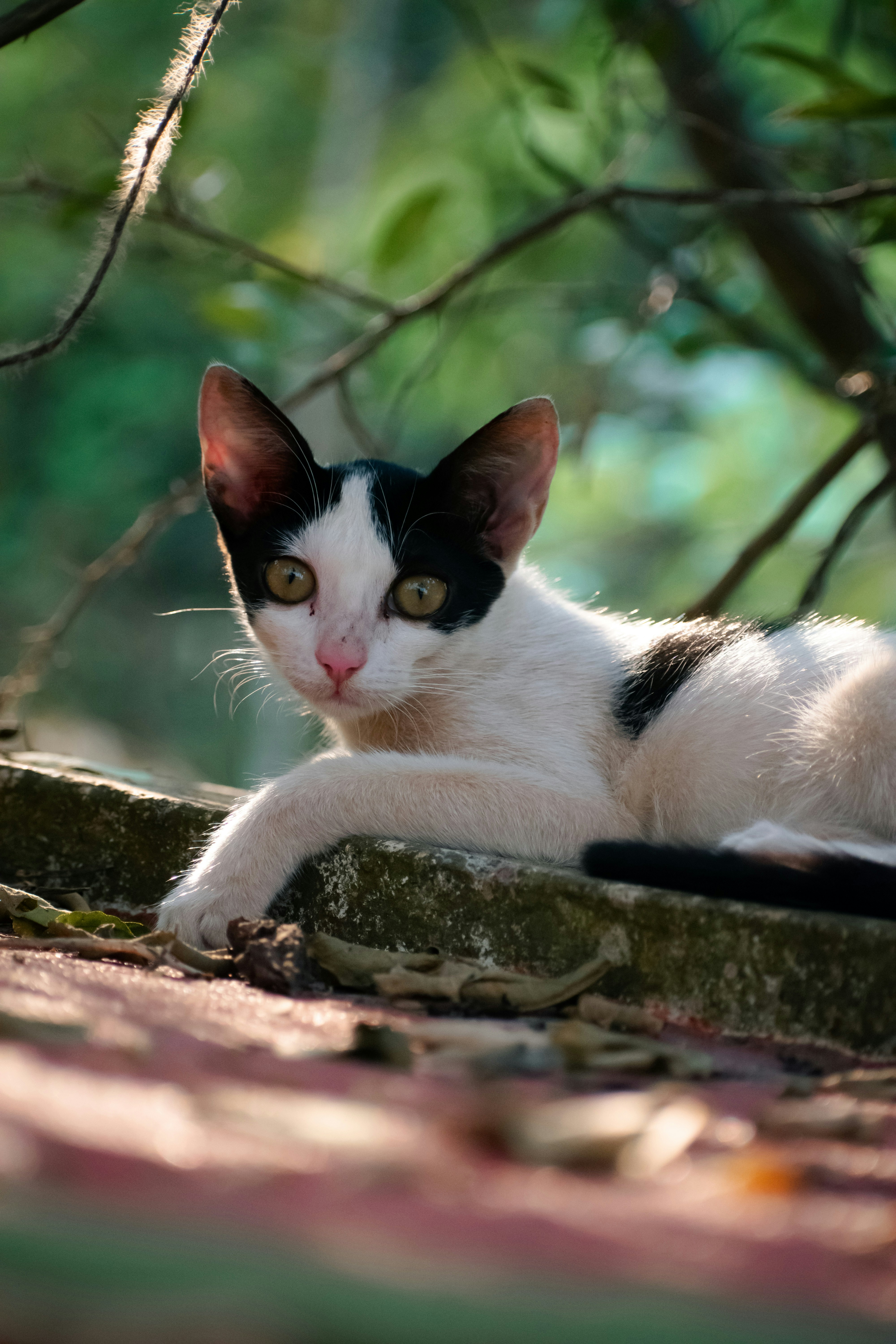 Photo by martinphotography