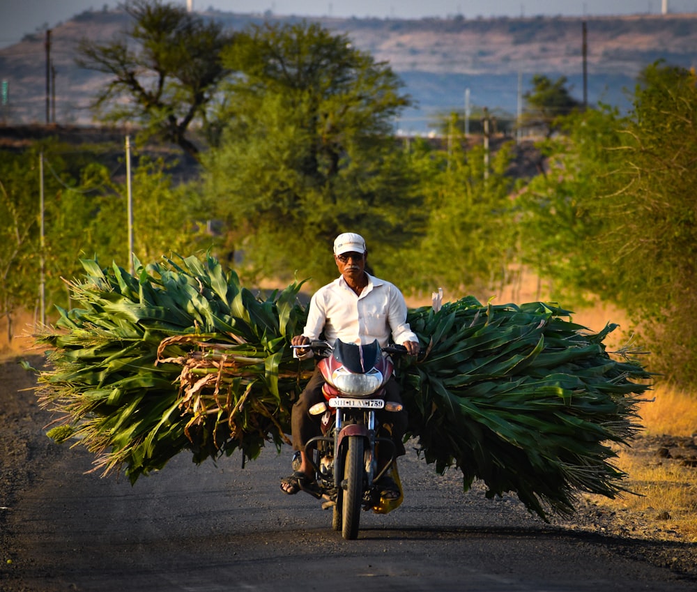 a man riding a motorcycle carrying a large bundle of plants