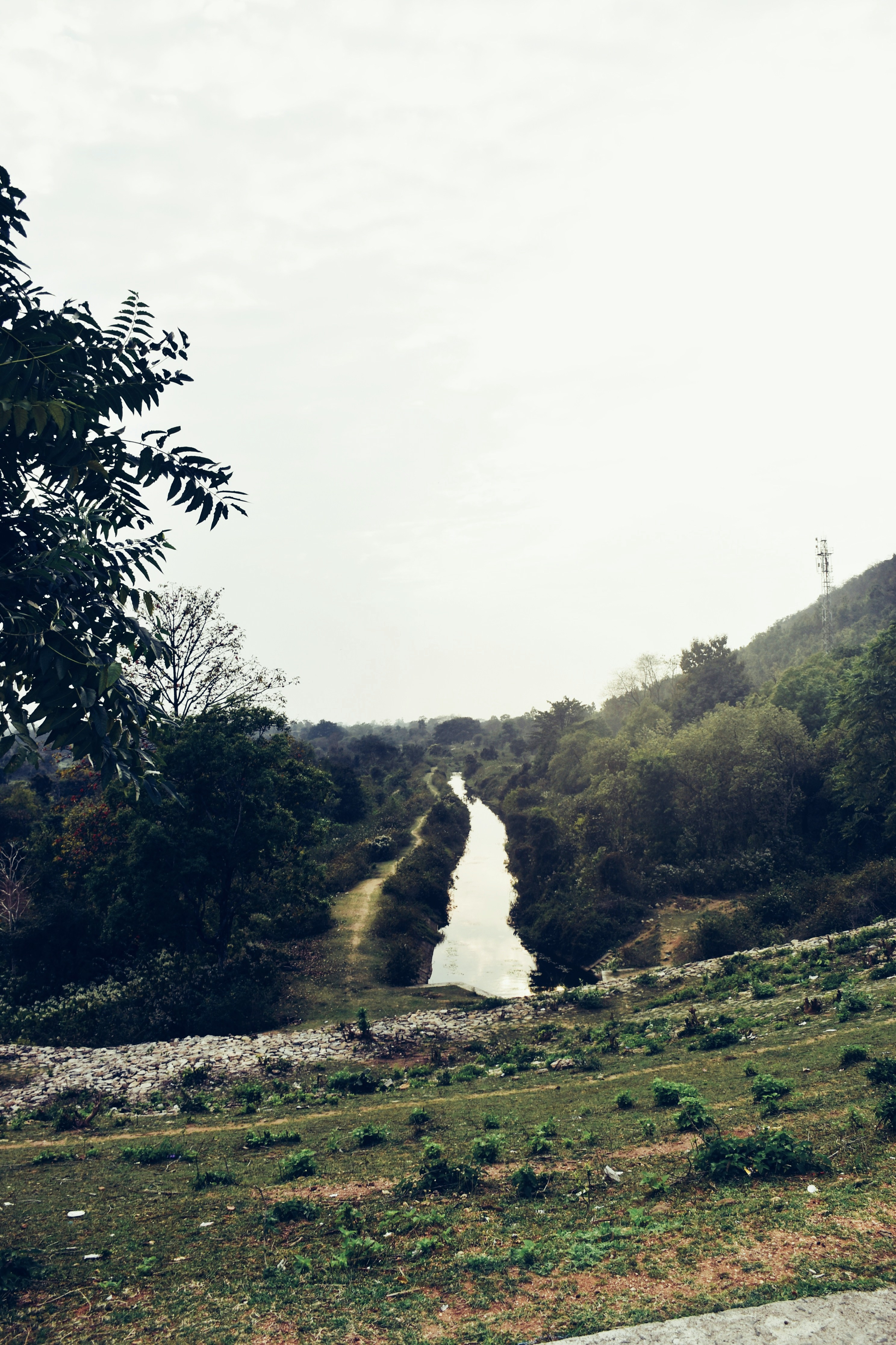 Photo by priyankabrokenheart90