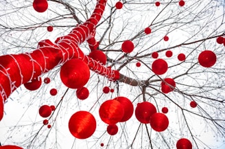 a bunch of red balls hanging from a tree