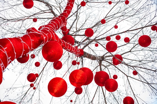 a bunch of red balls hanging from a tree