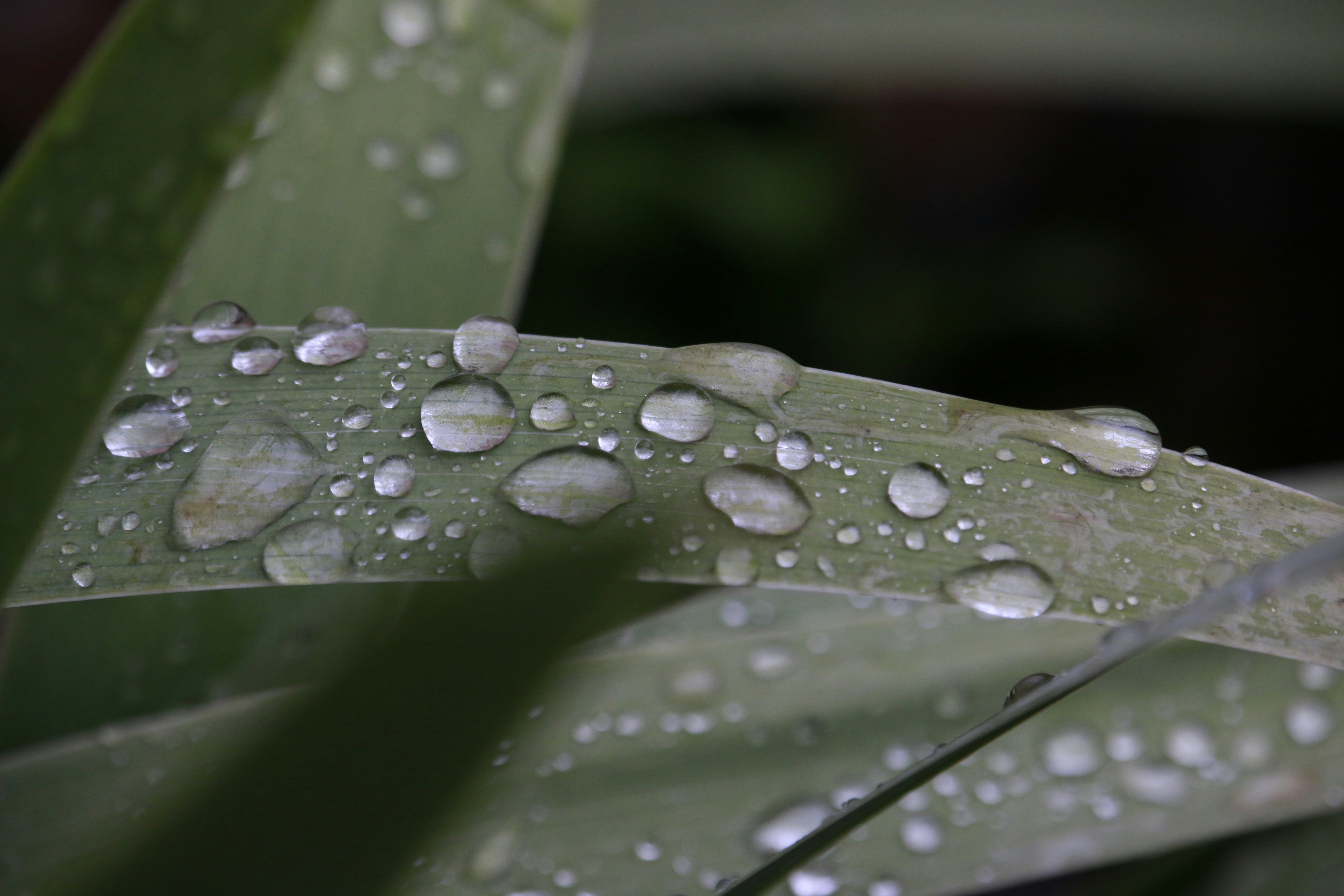 Advanced Strategies: Reducing Drop‑Day Cart Abandonment for Beauty Launches (2026)