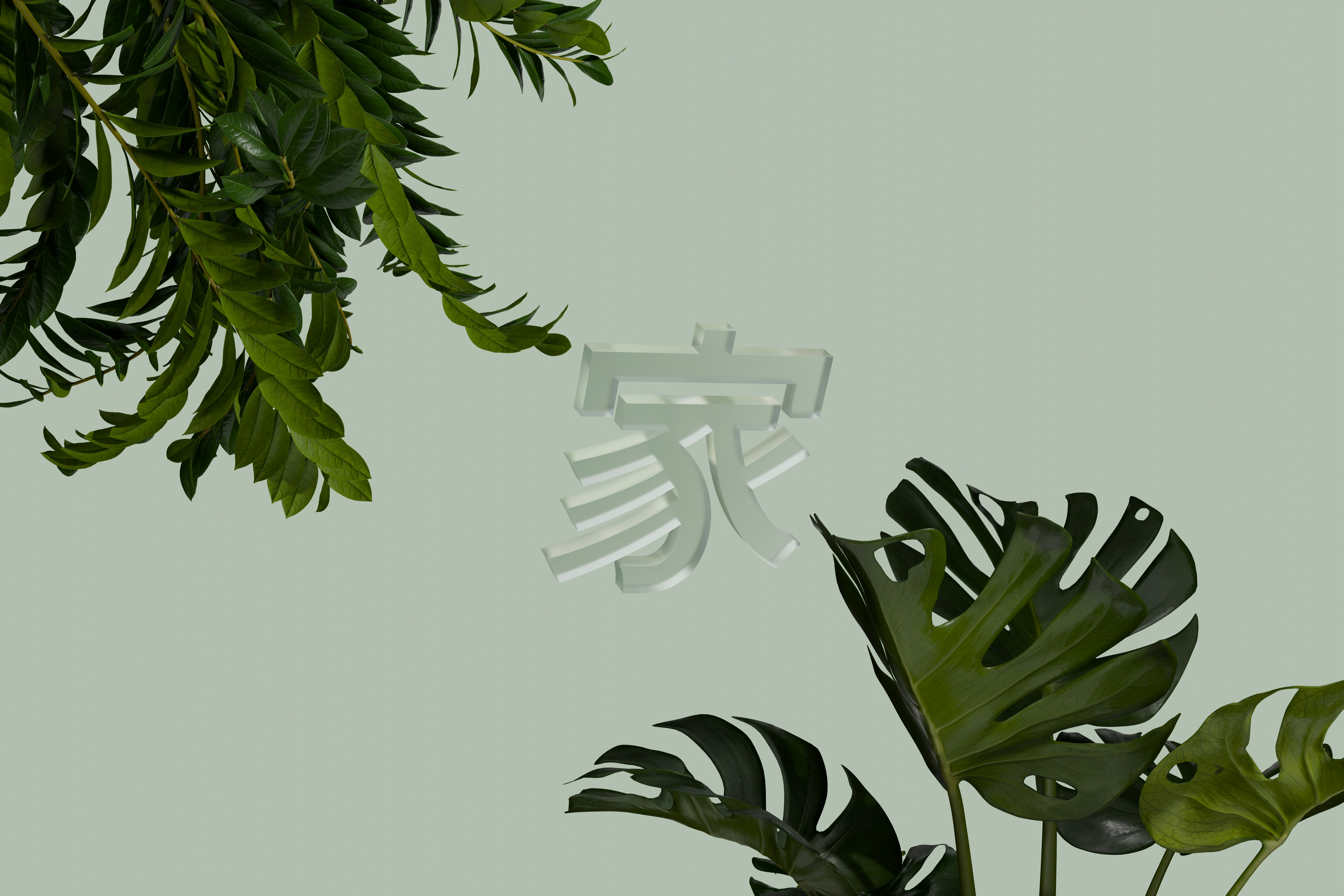 a green plant with a chinese character on it