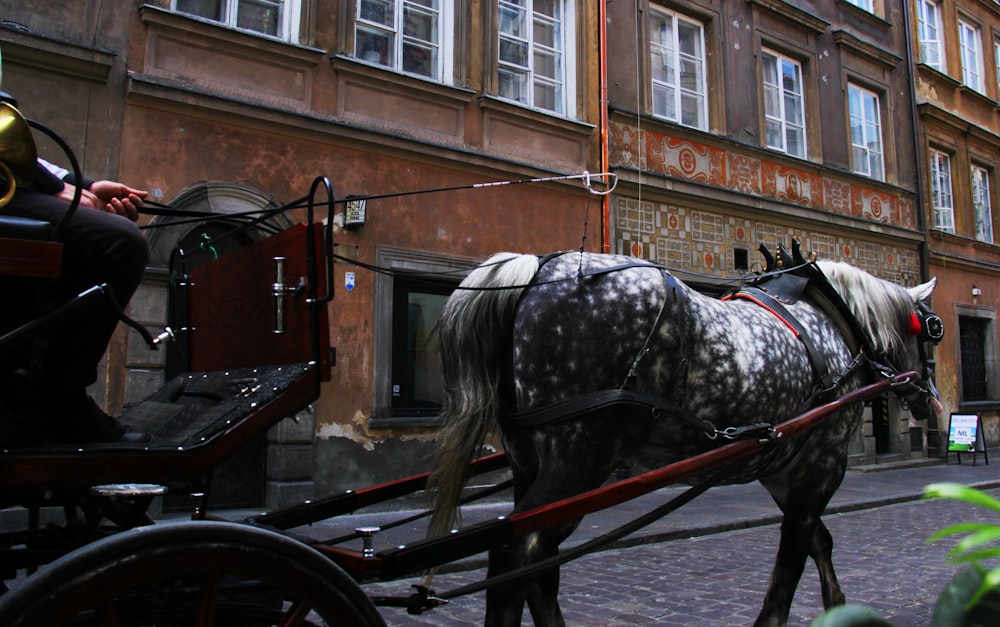 a horse drawn carriage on a city street