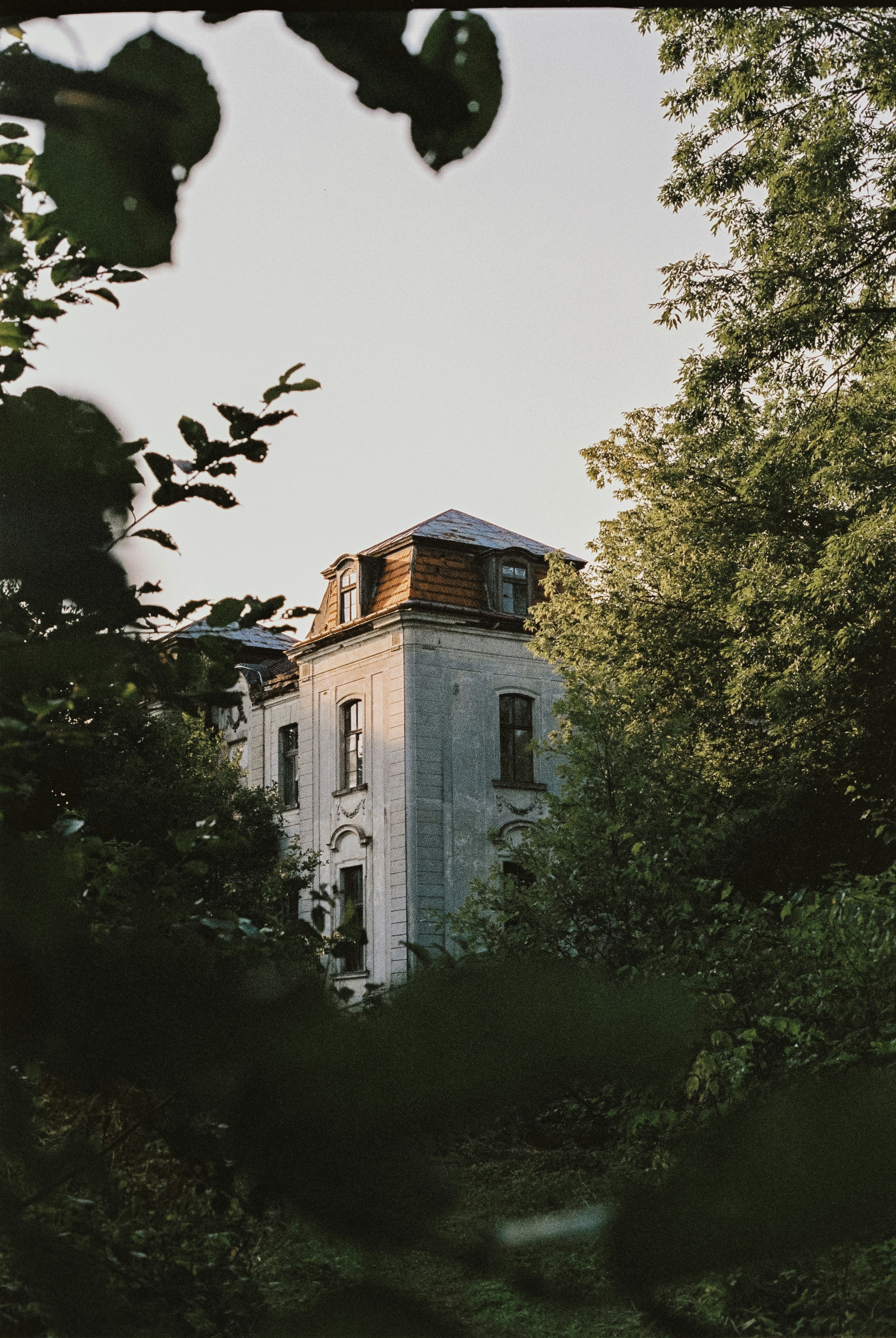 Photo by p_kuzovkova