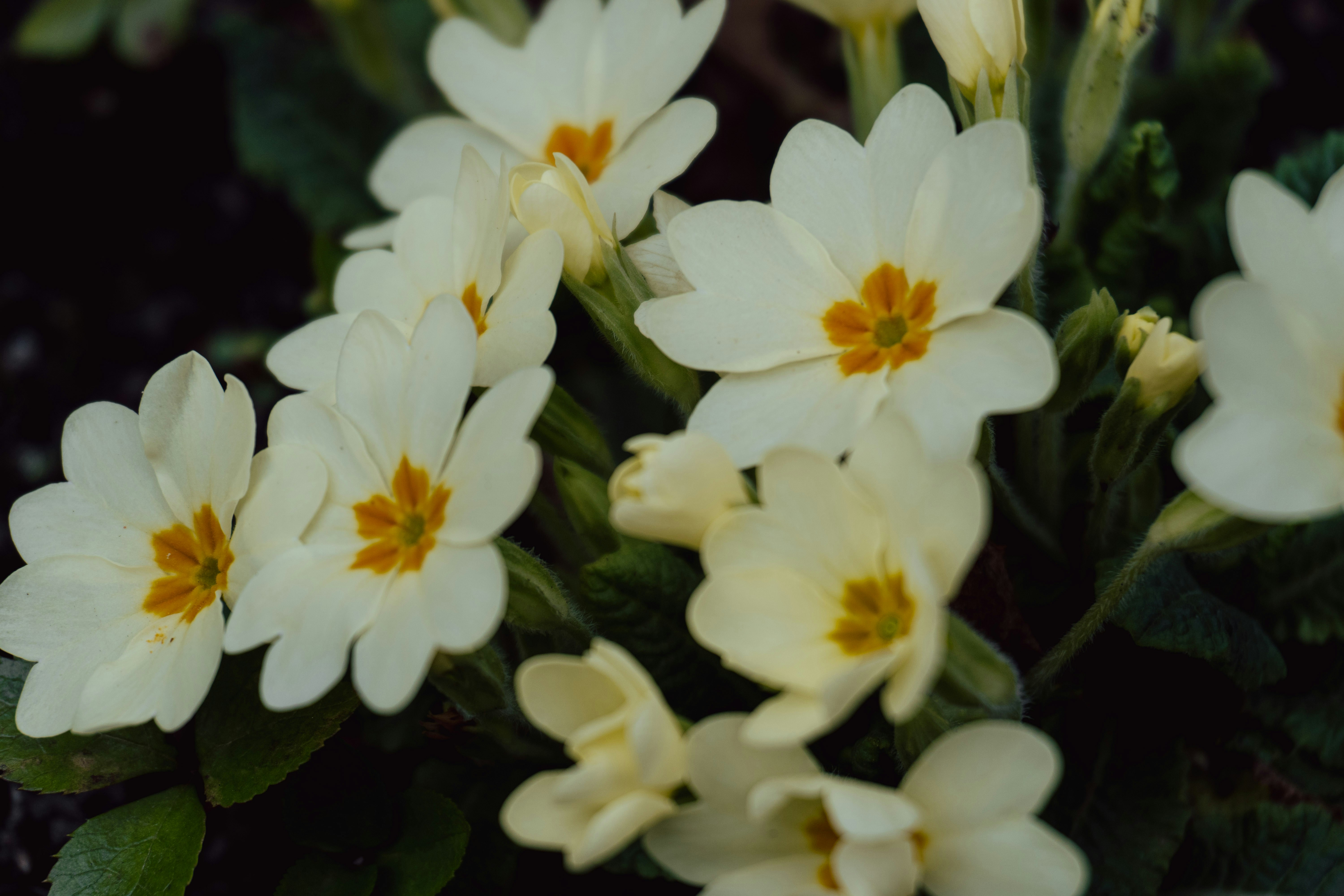 Photo by nicola_welner