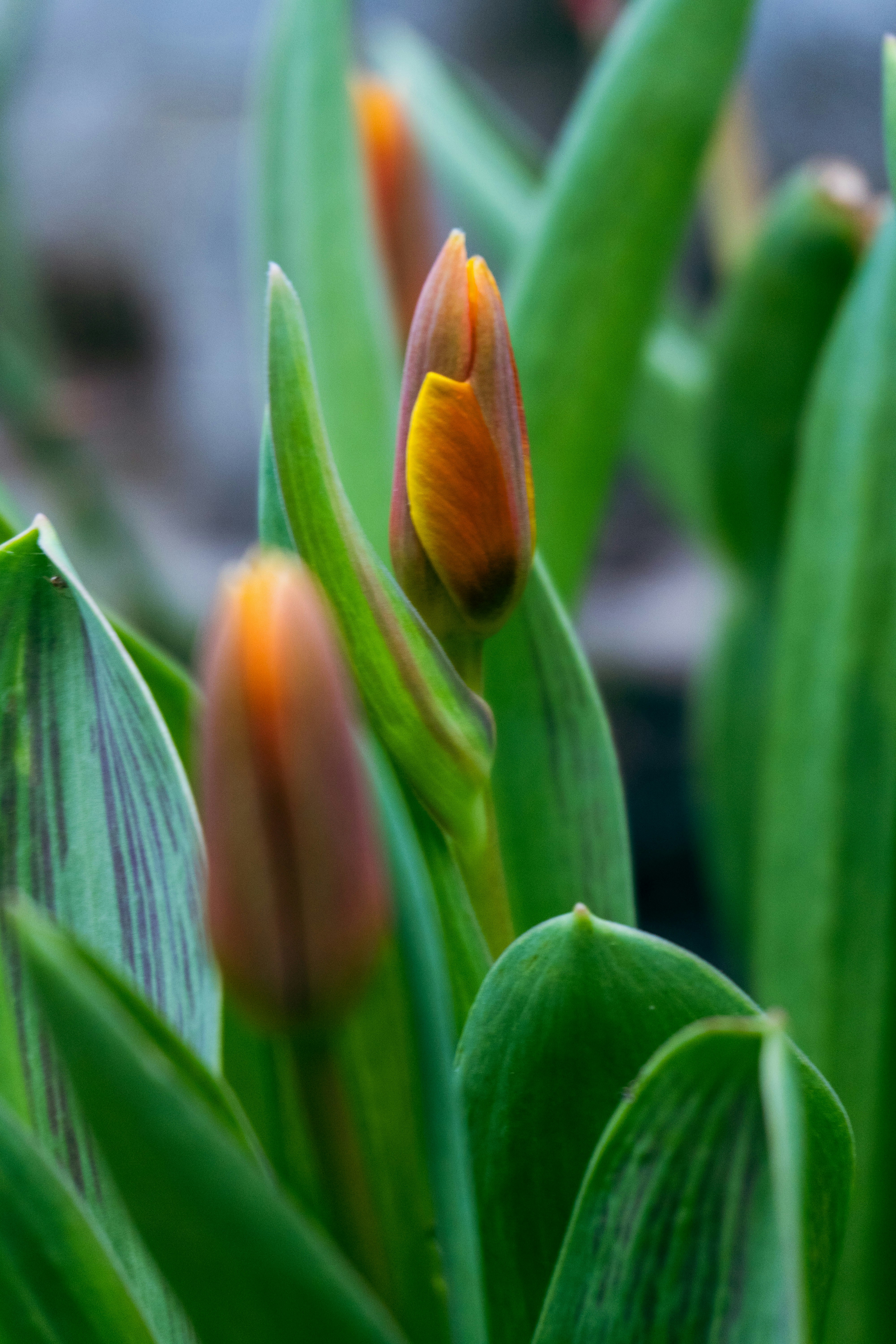 Photo by nicola_welner