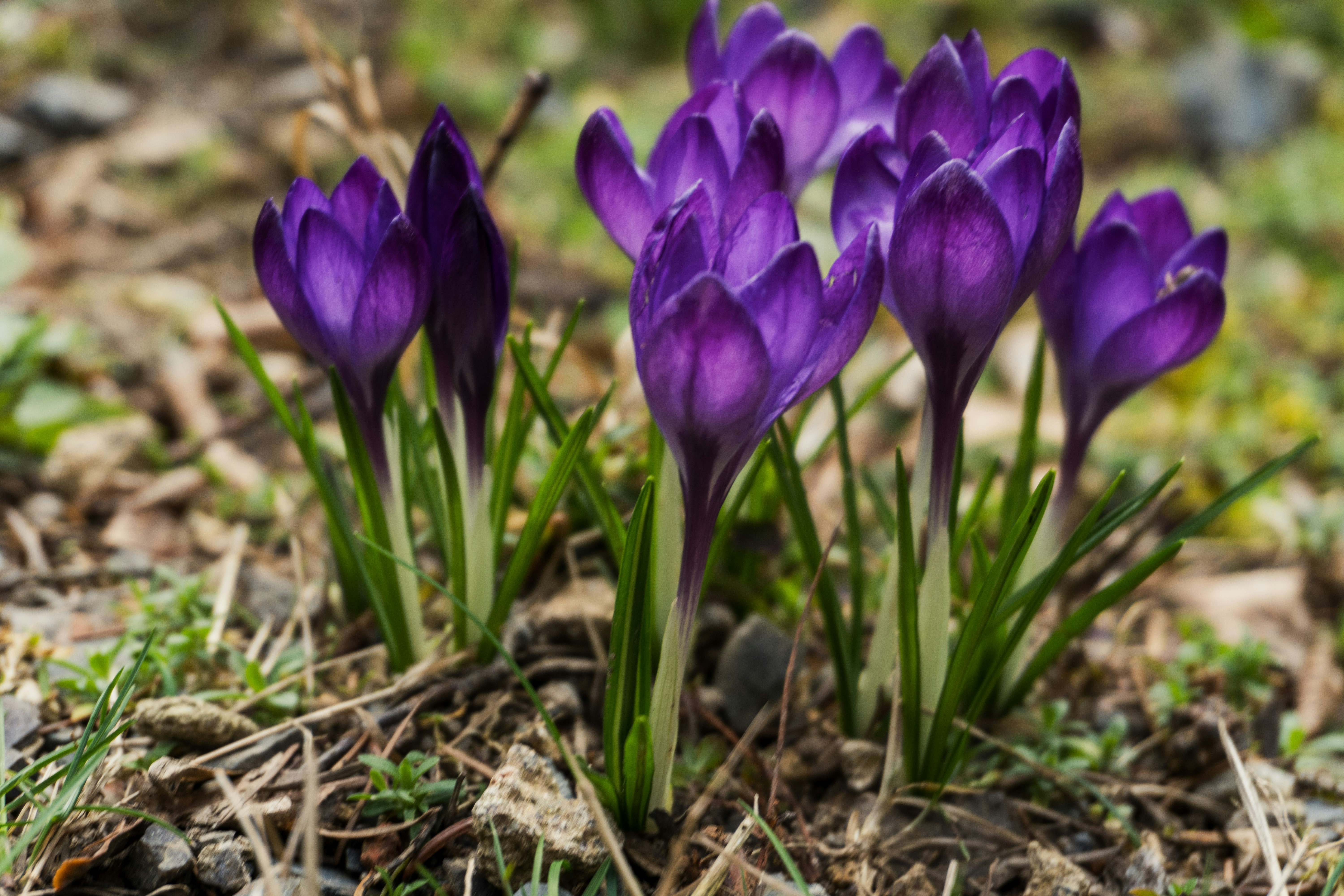 Photo by nicola_welner