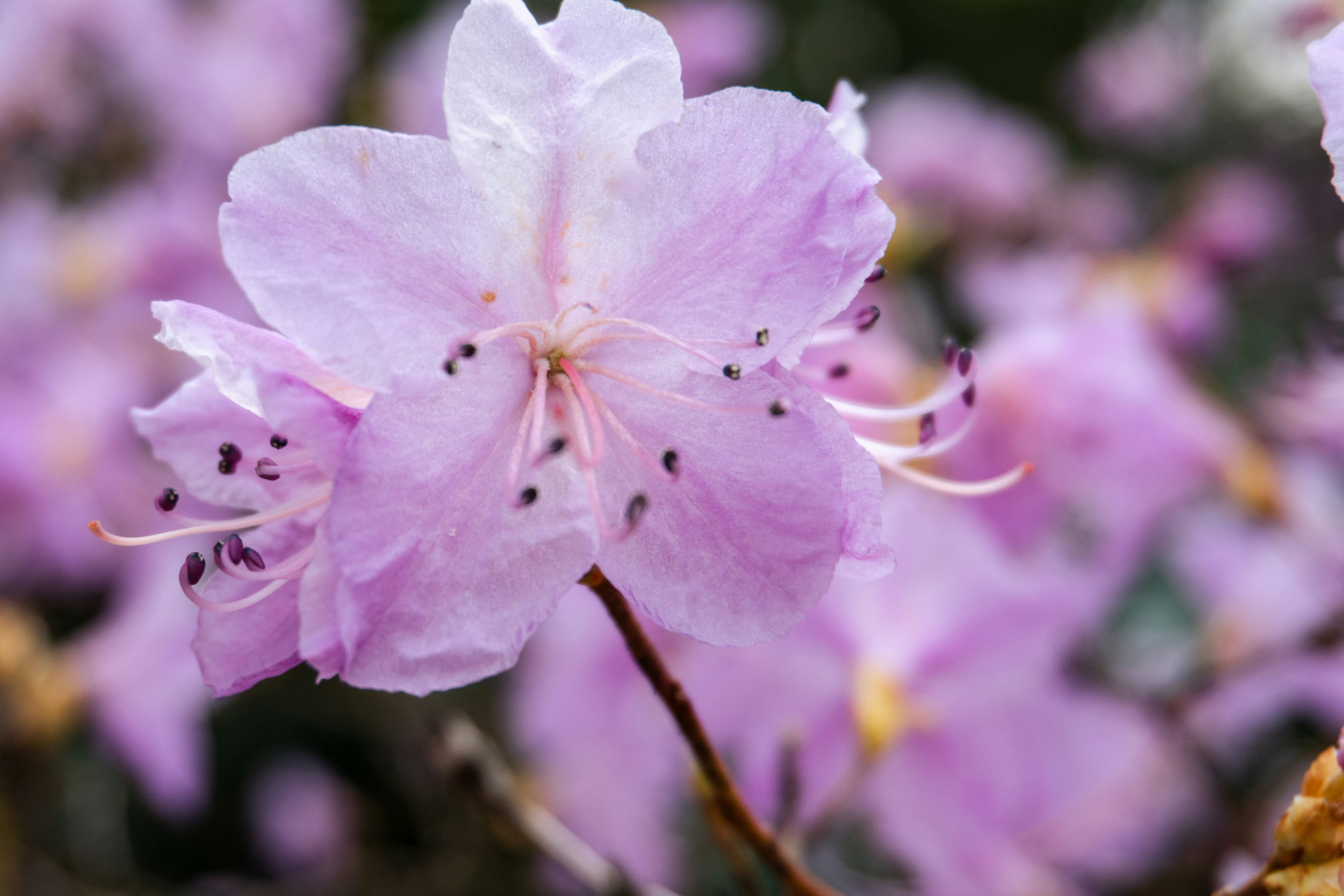 Photo by nicola_welner