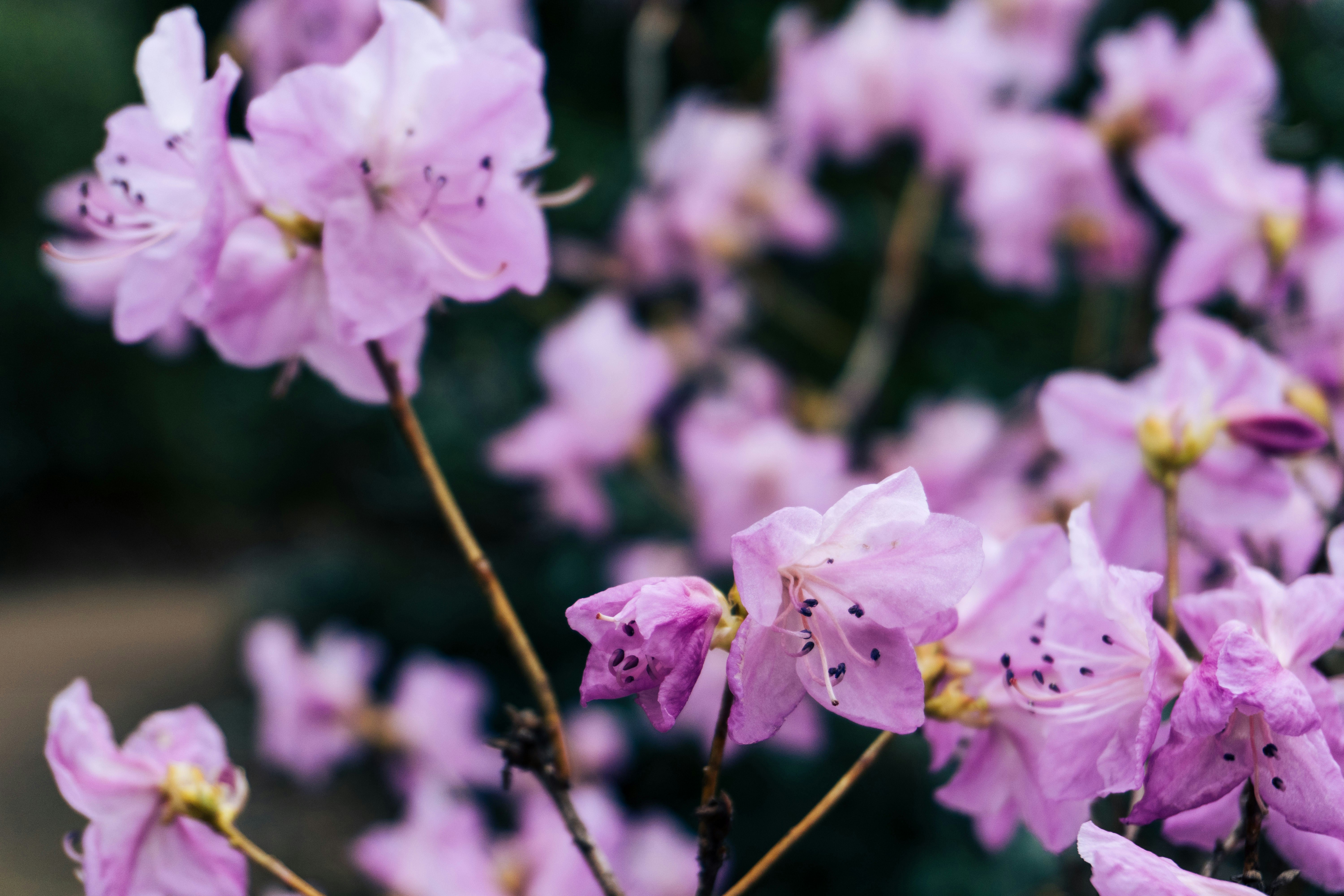 Photo by nicola_welner