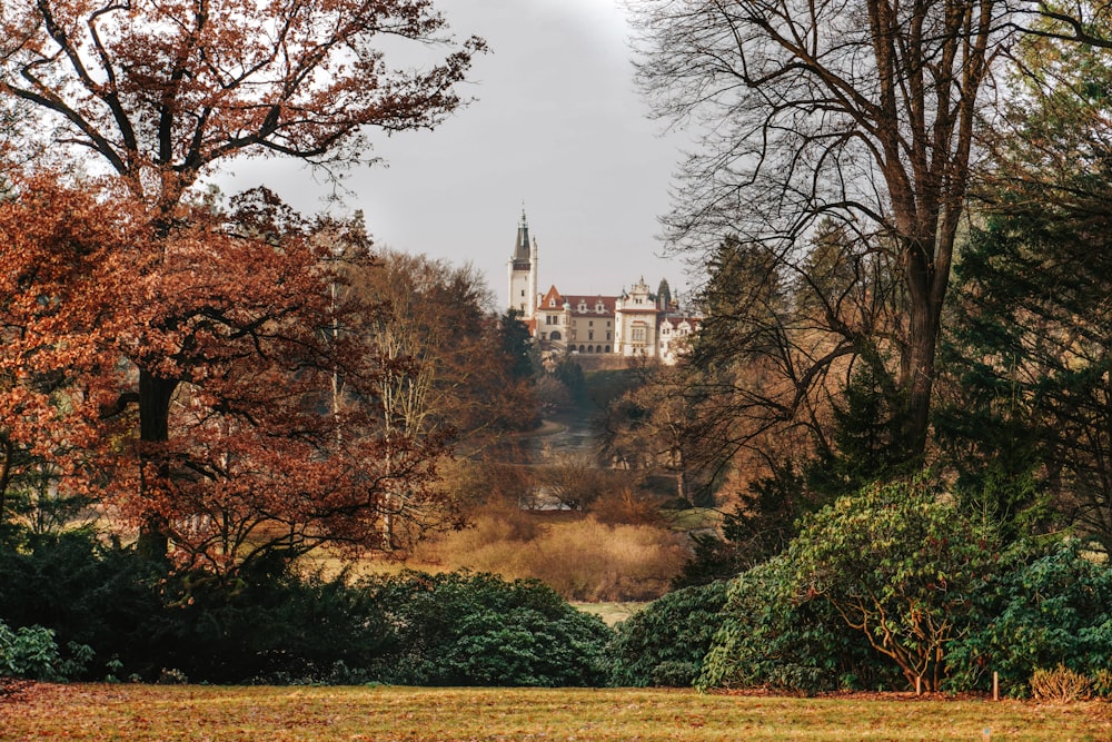 a view of a castle through the trees