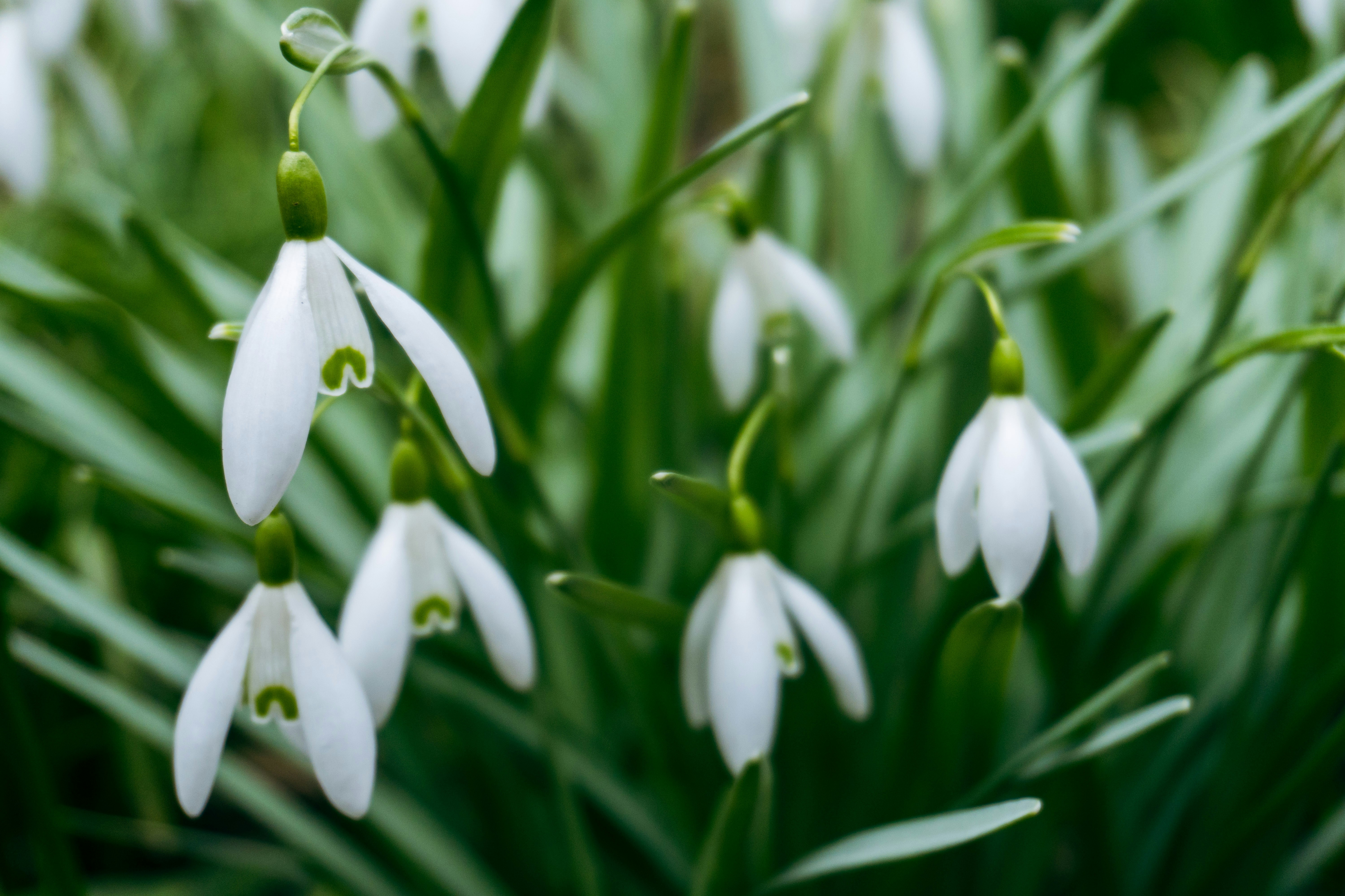 Photo by nicola_welner