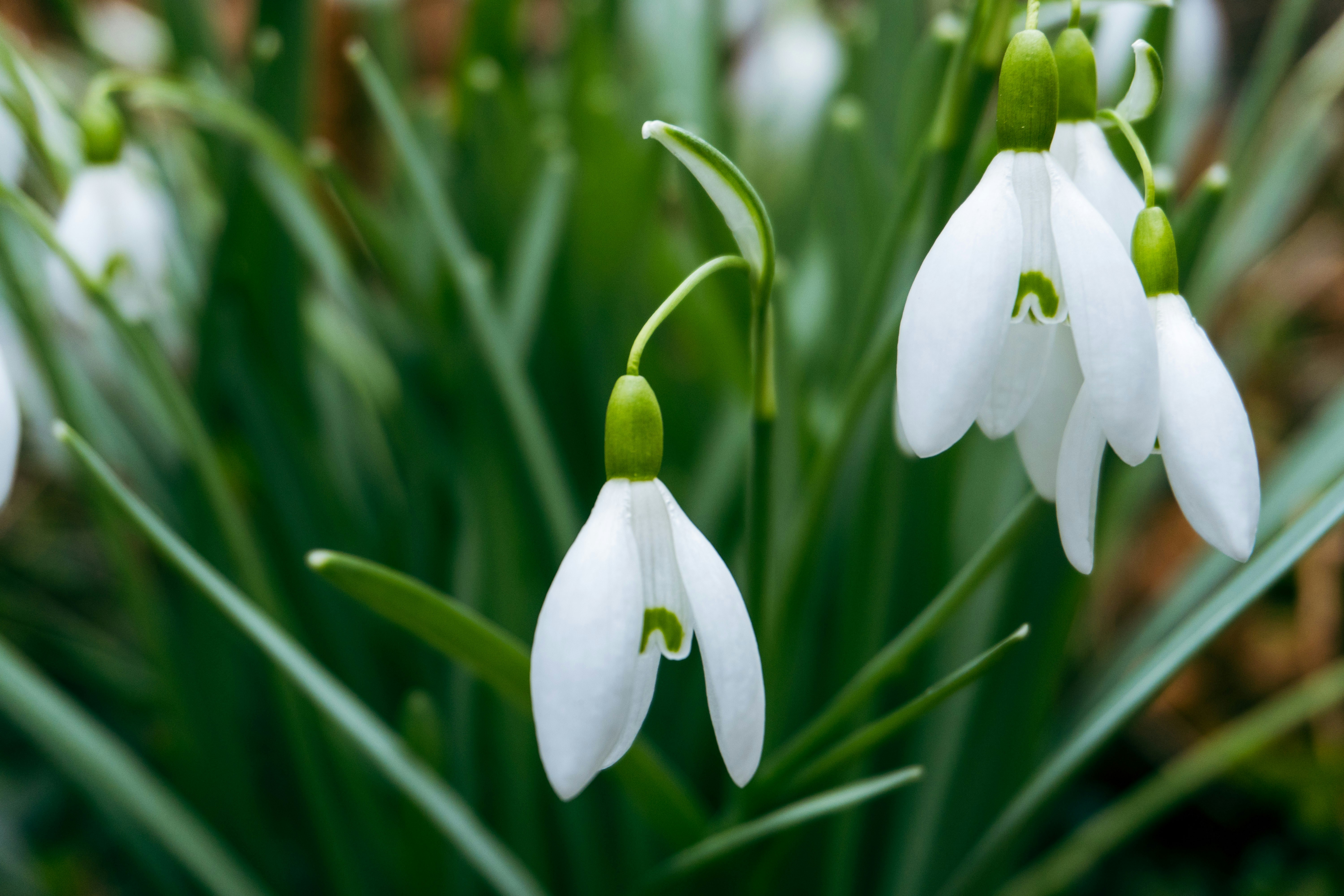 Photo by nicola_welner