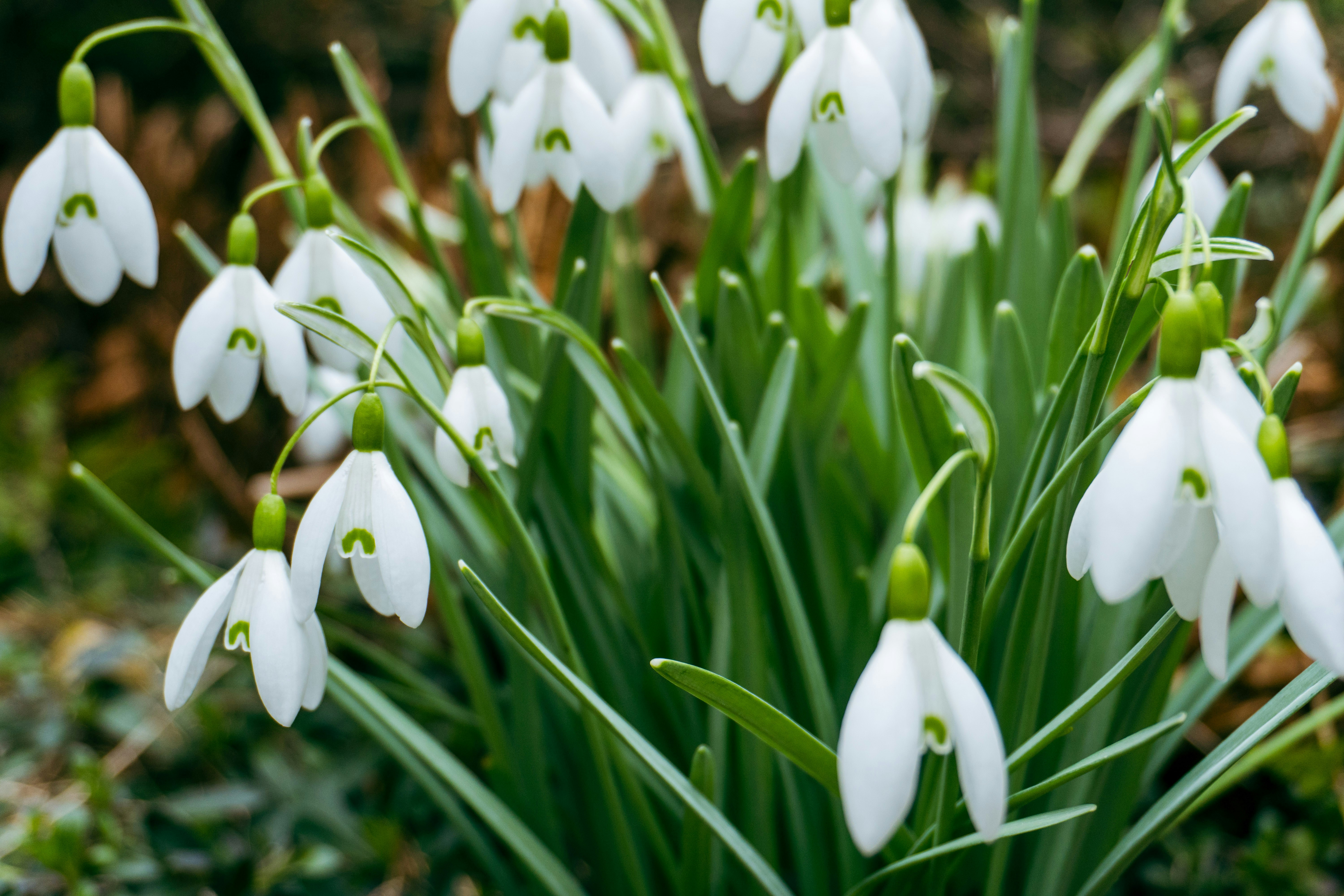 Photo by nicola_welner