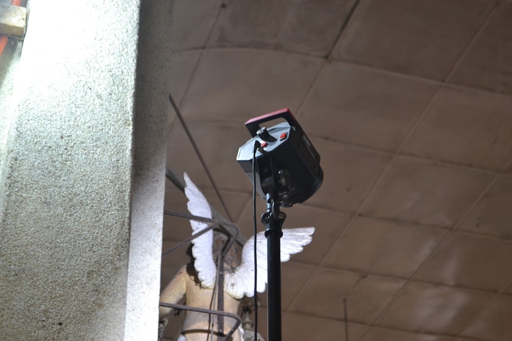 a camera on top of a tripod with a bird on it