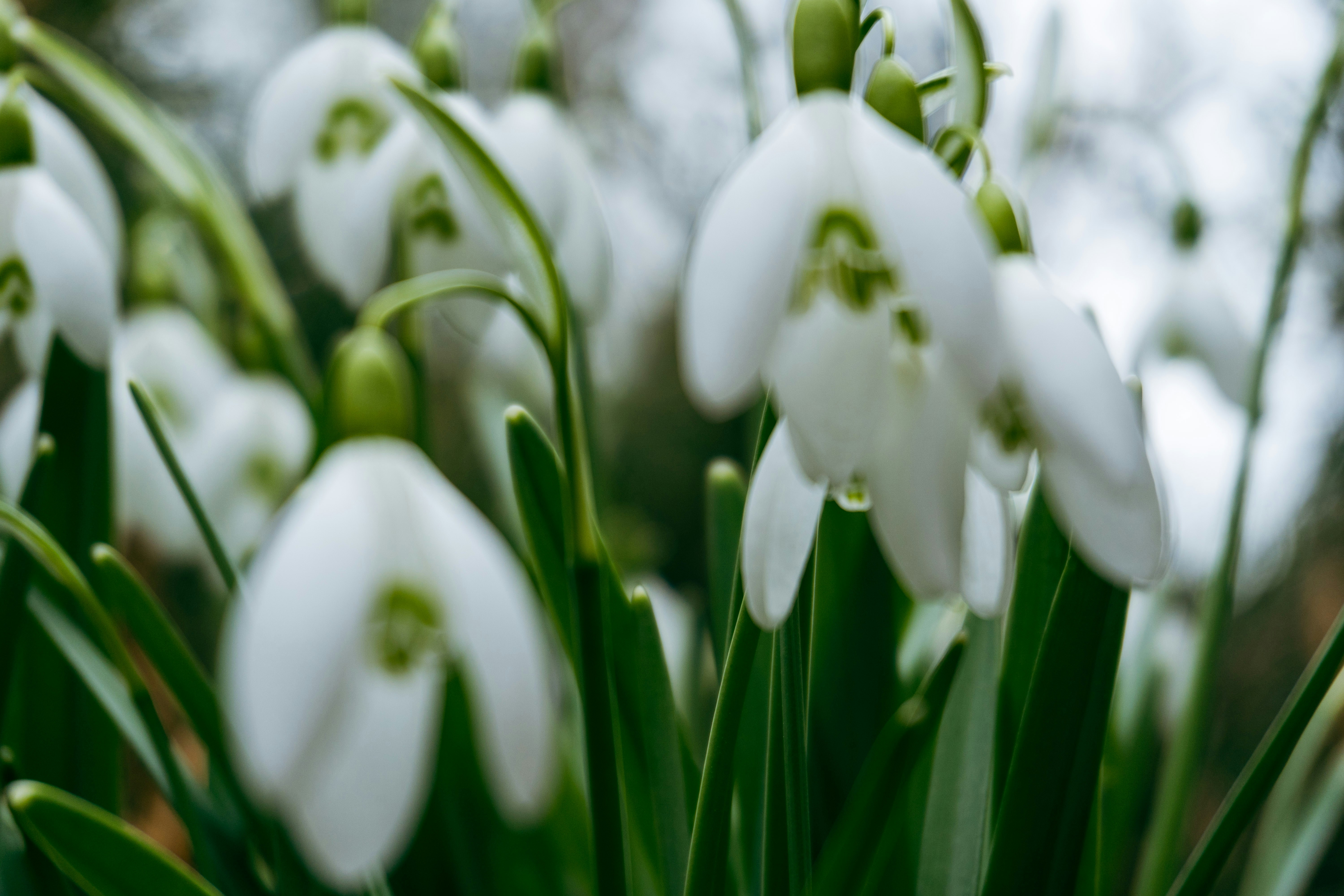 Photo by nicola_welner