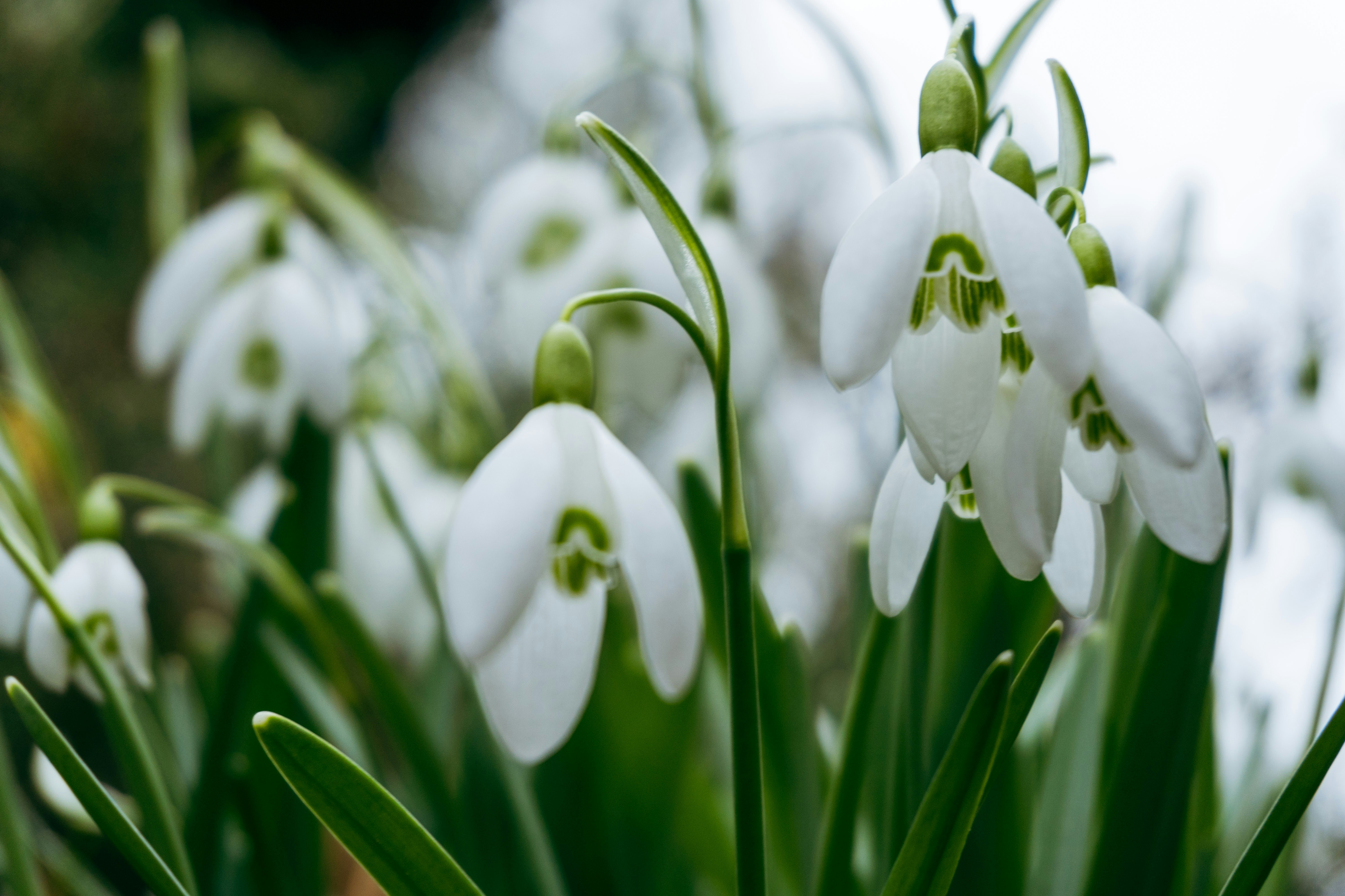 Photo by nicola_welner