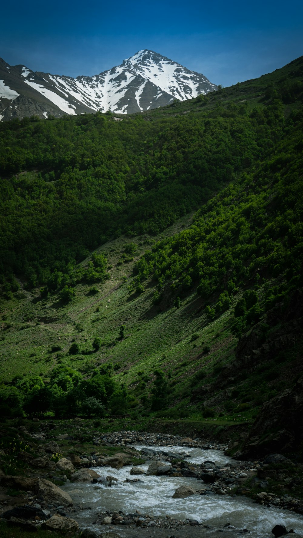 a river running through a lush green hillside