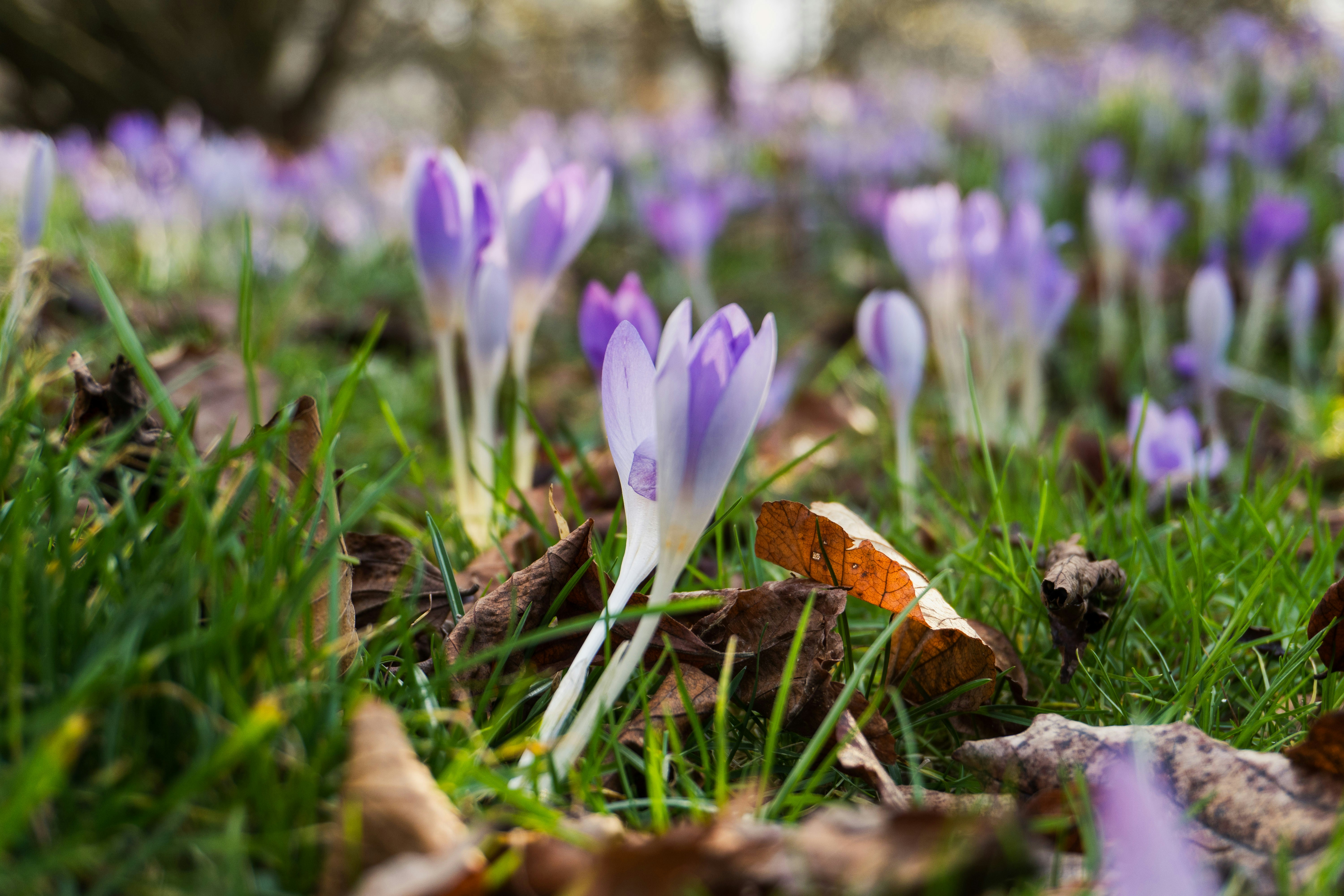 Photo by nicola_welner