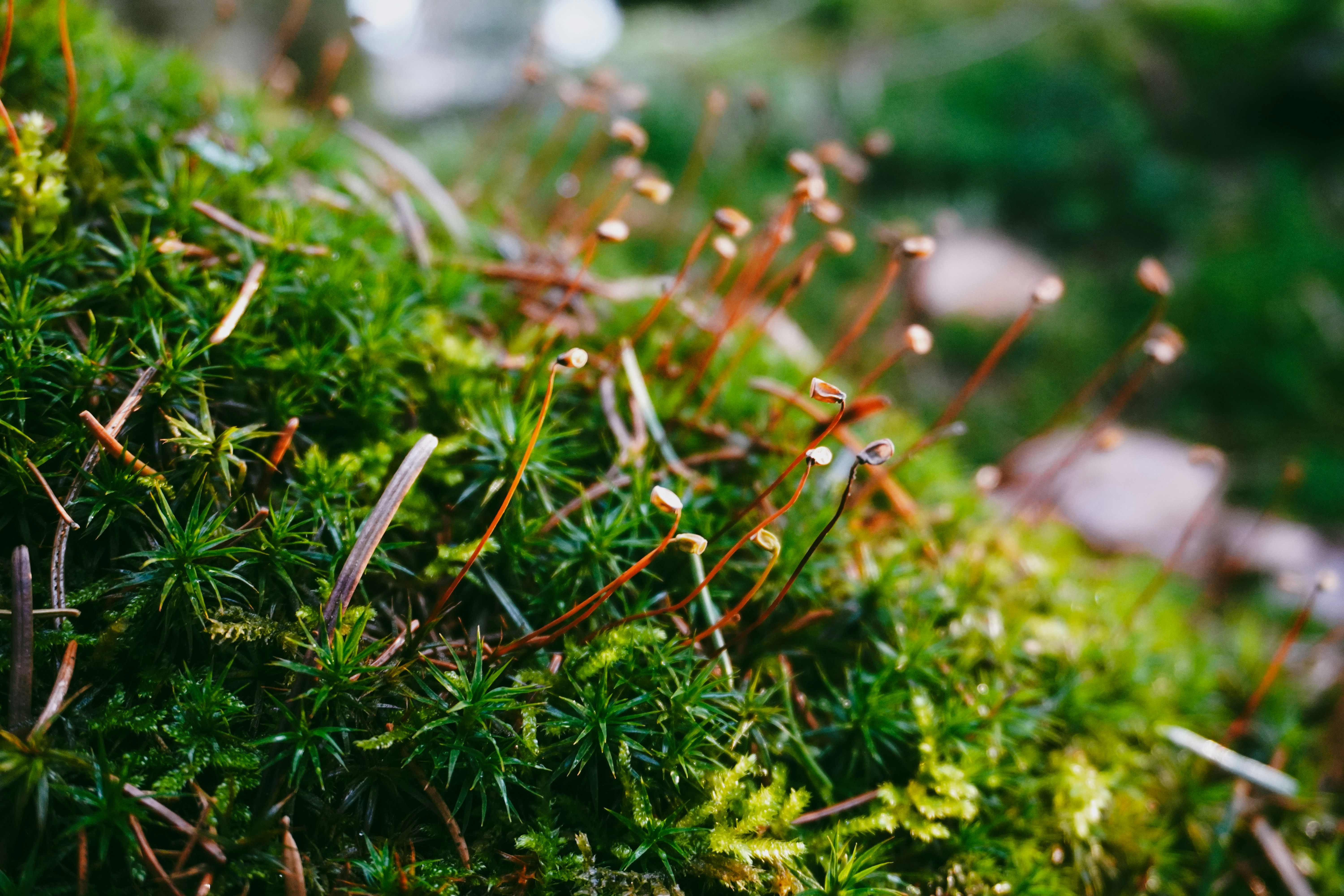 Photo by nicola_welner