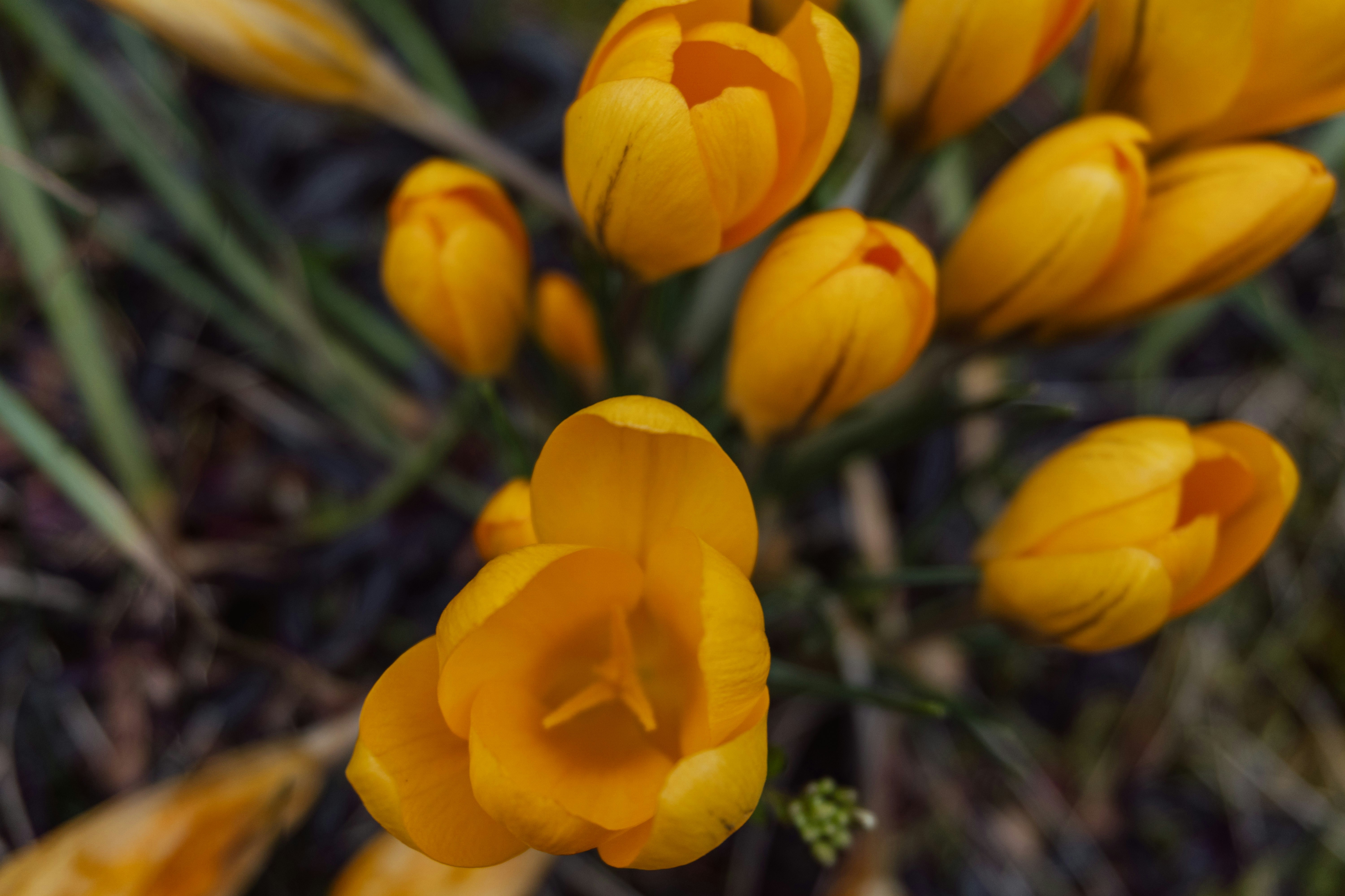 Photo by nicola_welner