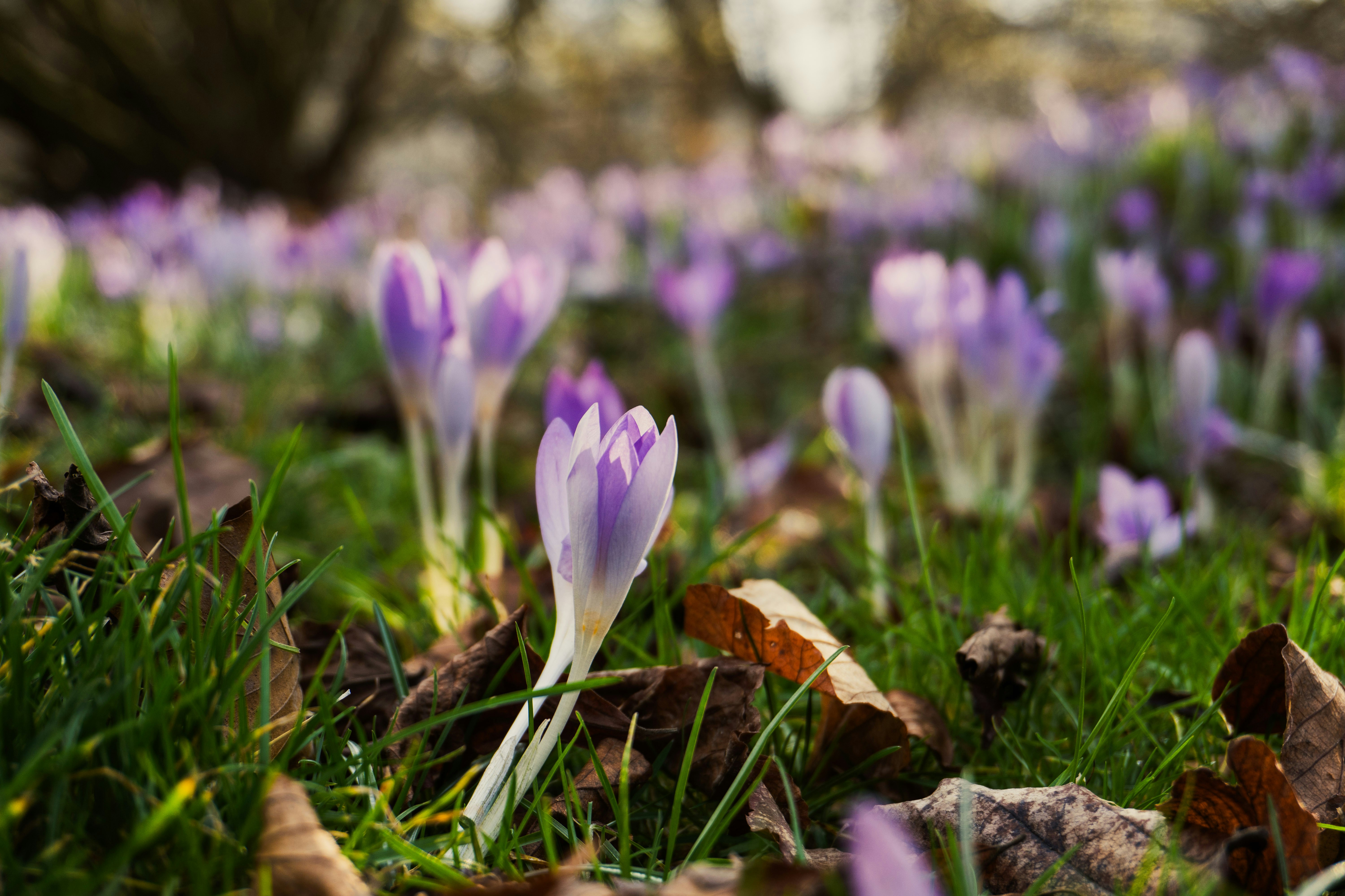 Photo by nicola_welner