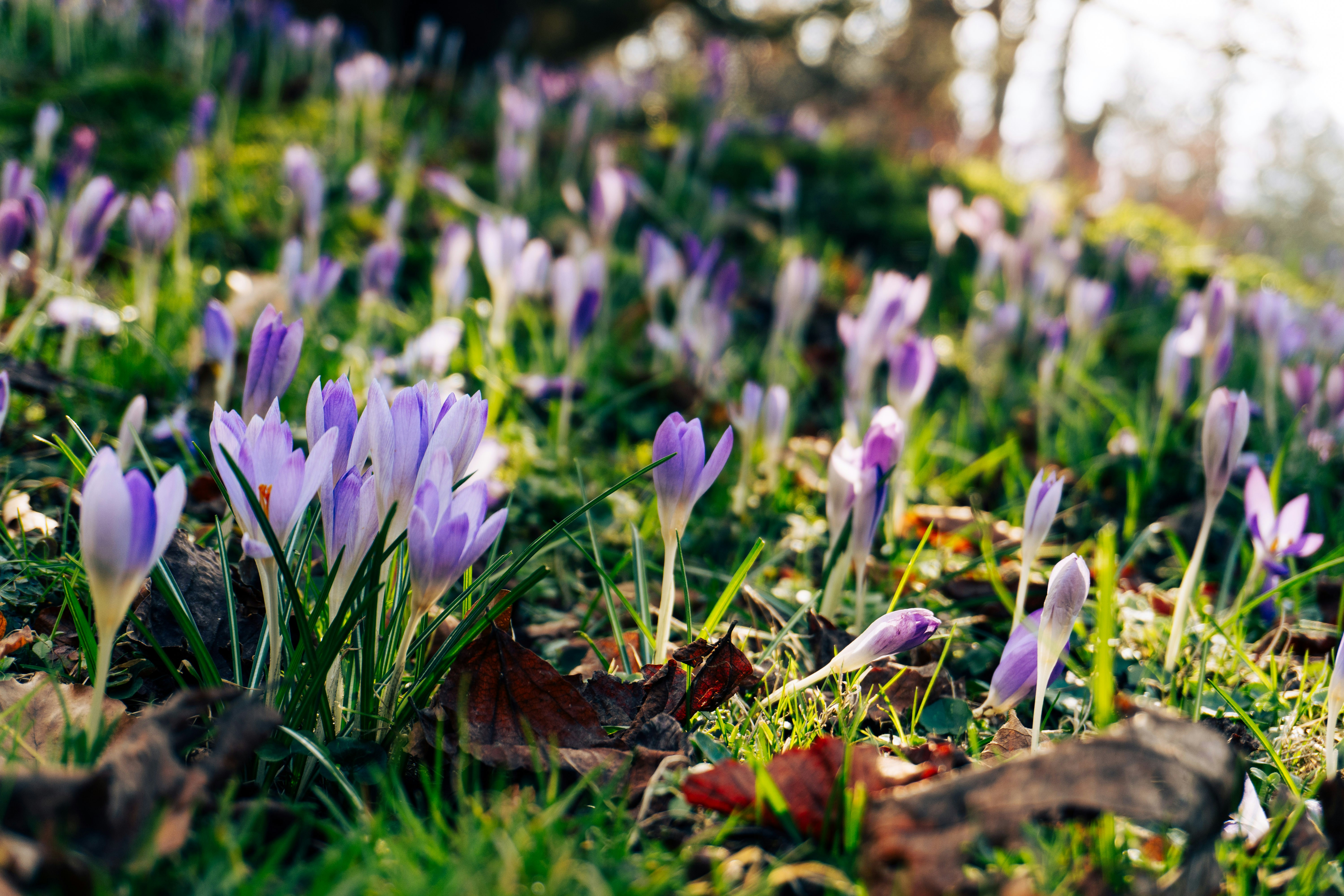 Photo by nicola_welner