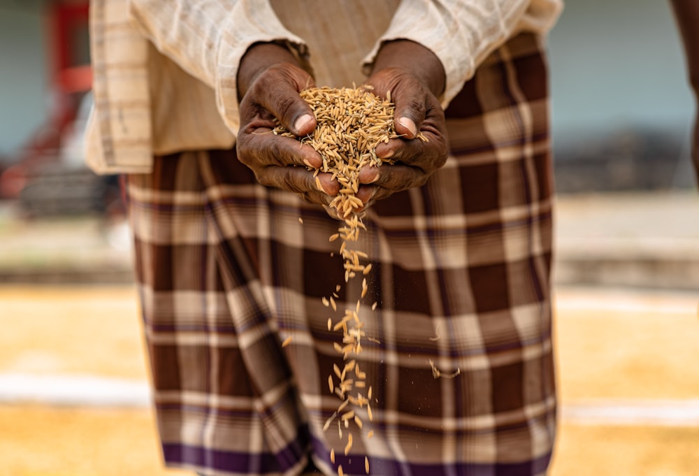 a person holding a bunch of grain in their hands