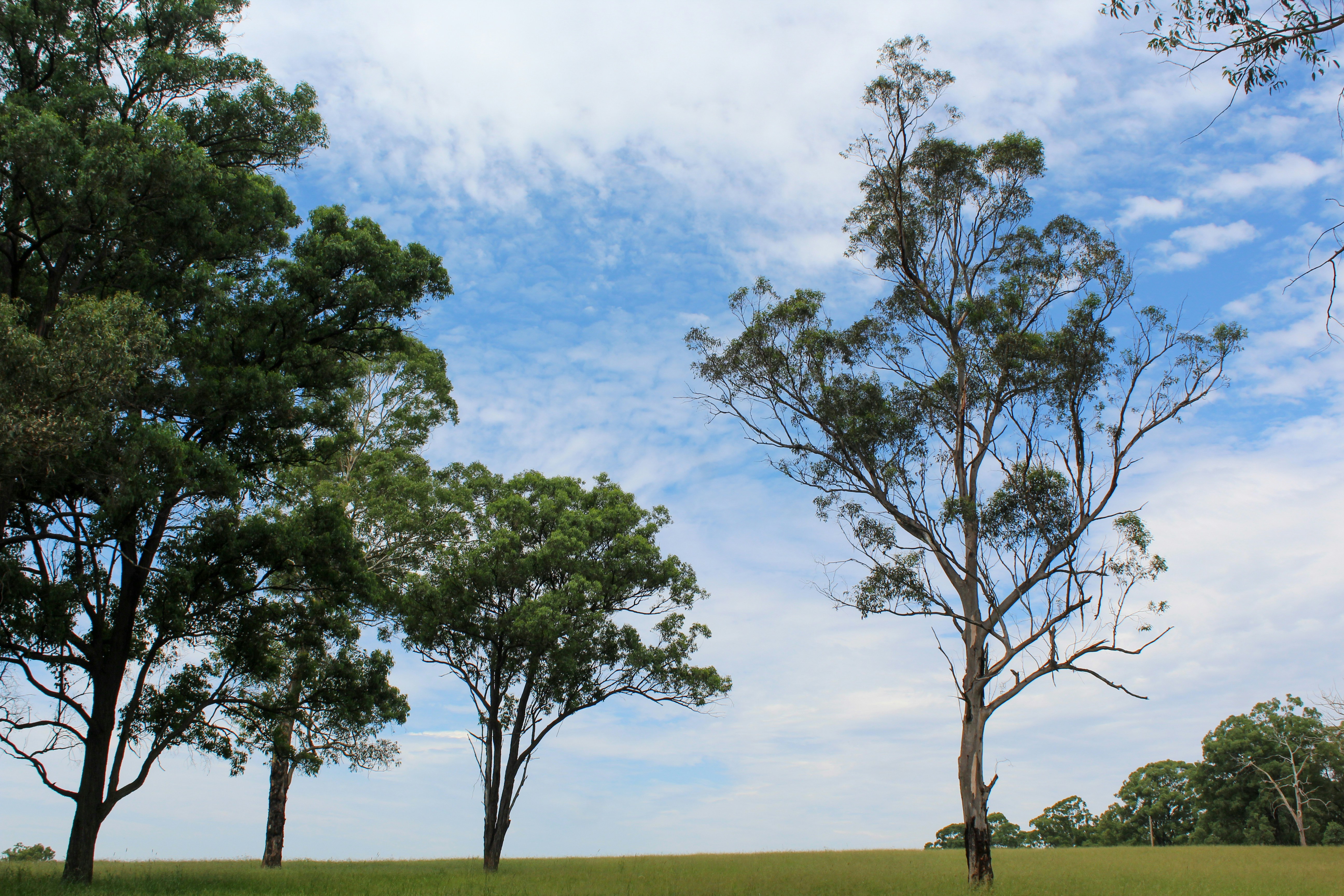 Photo by light_and_hope