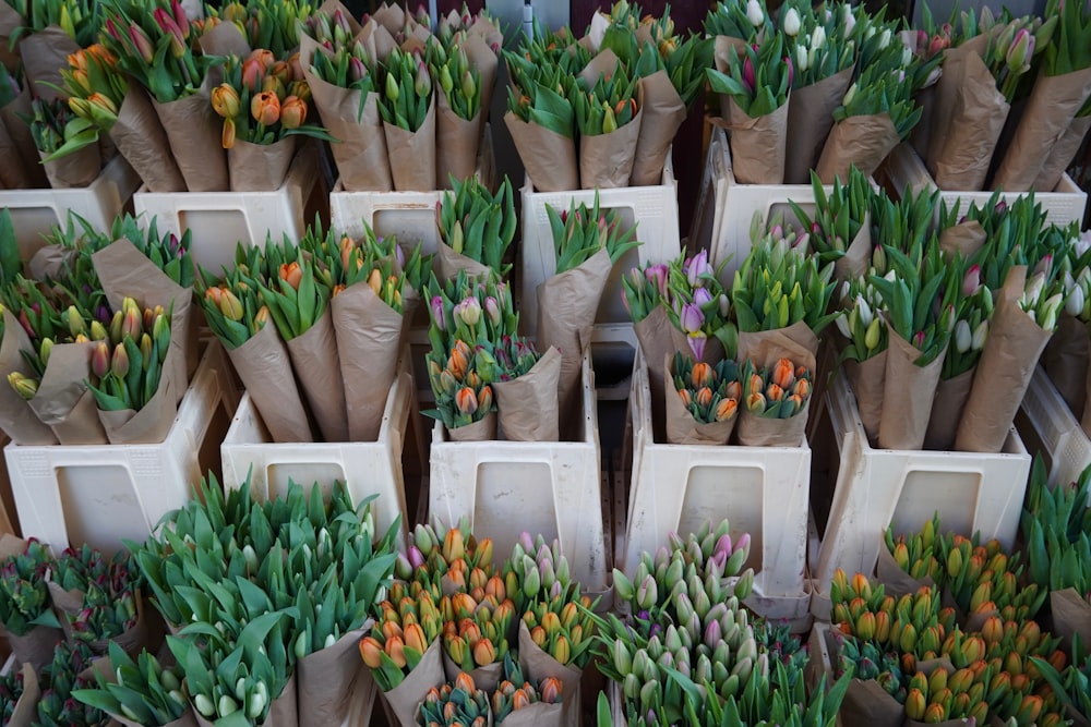 a bunch of flowers that are sitting in bags