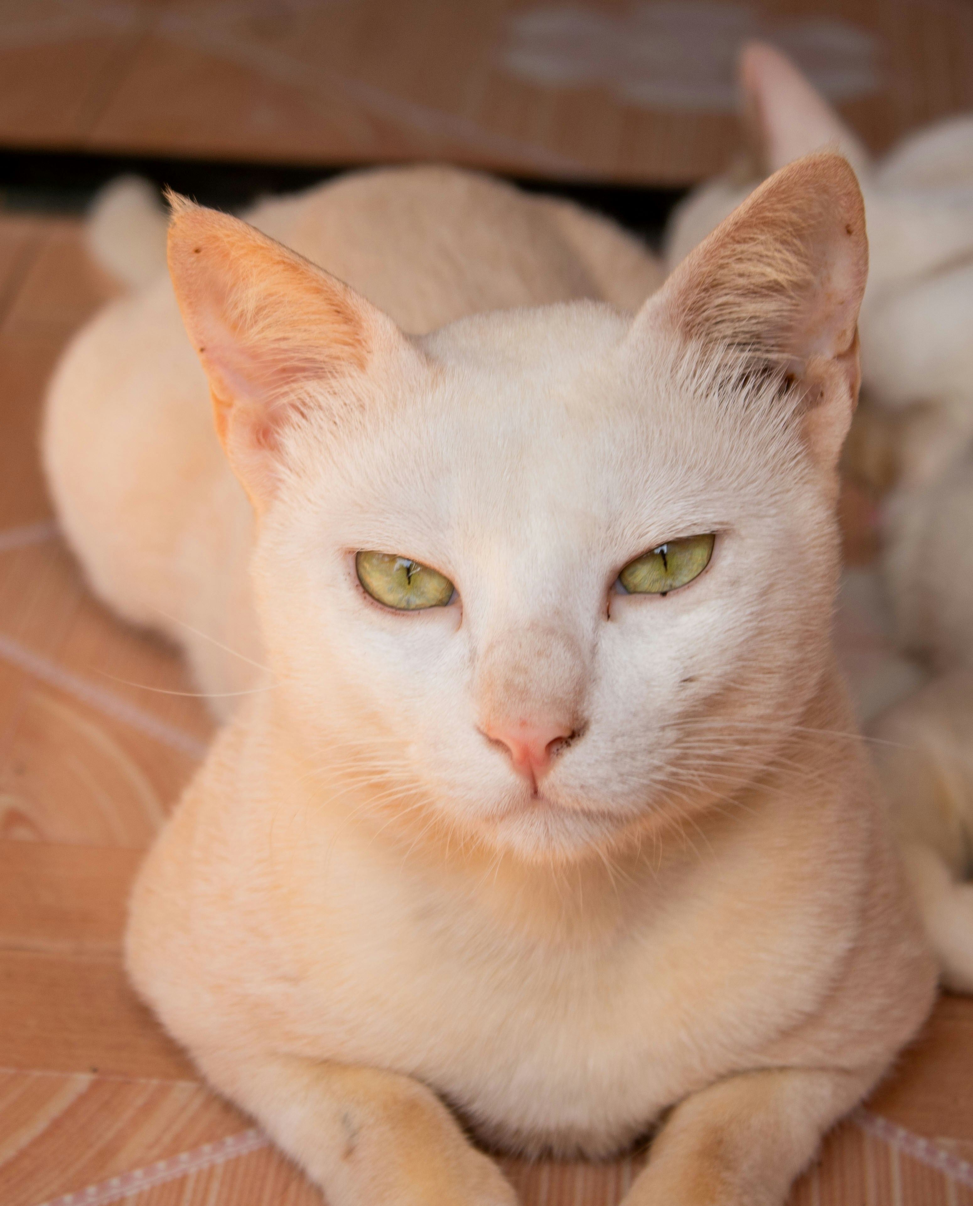 Photo by audumbar999