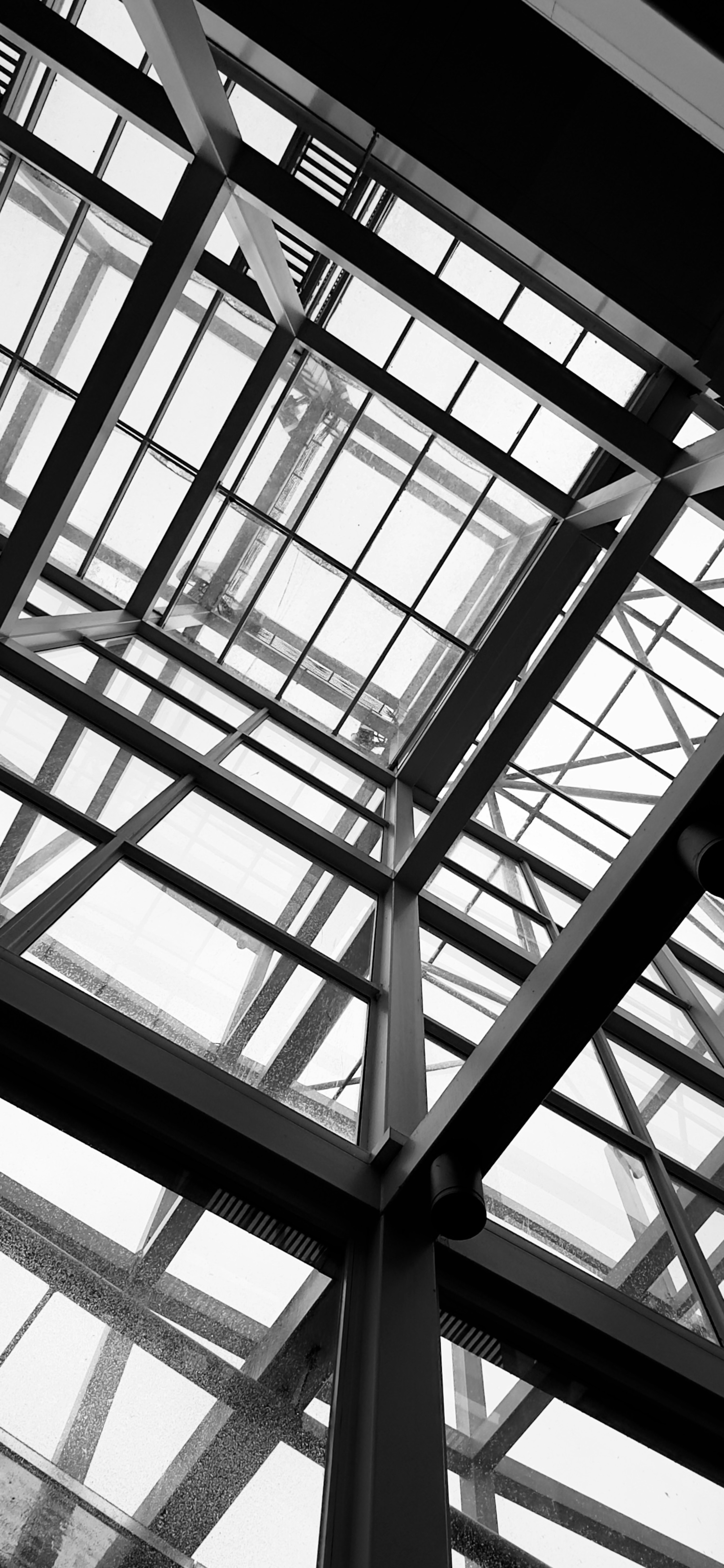 Photo by david_underland