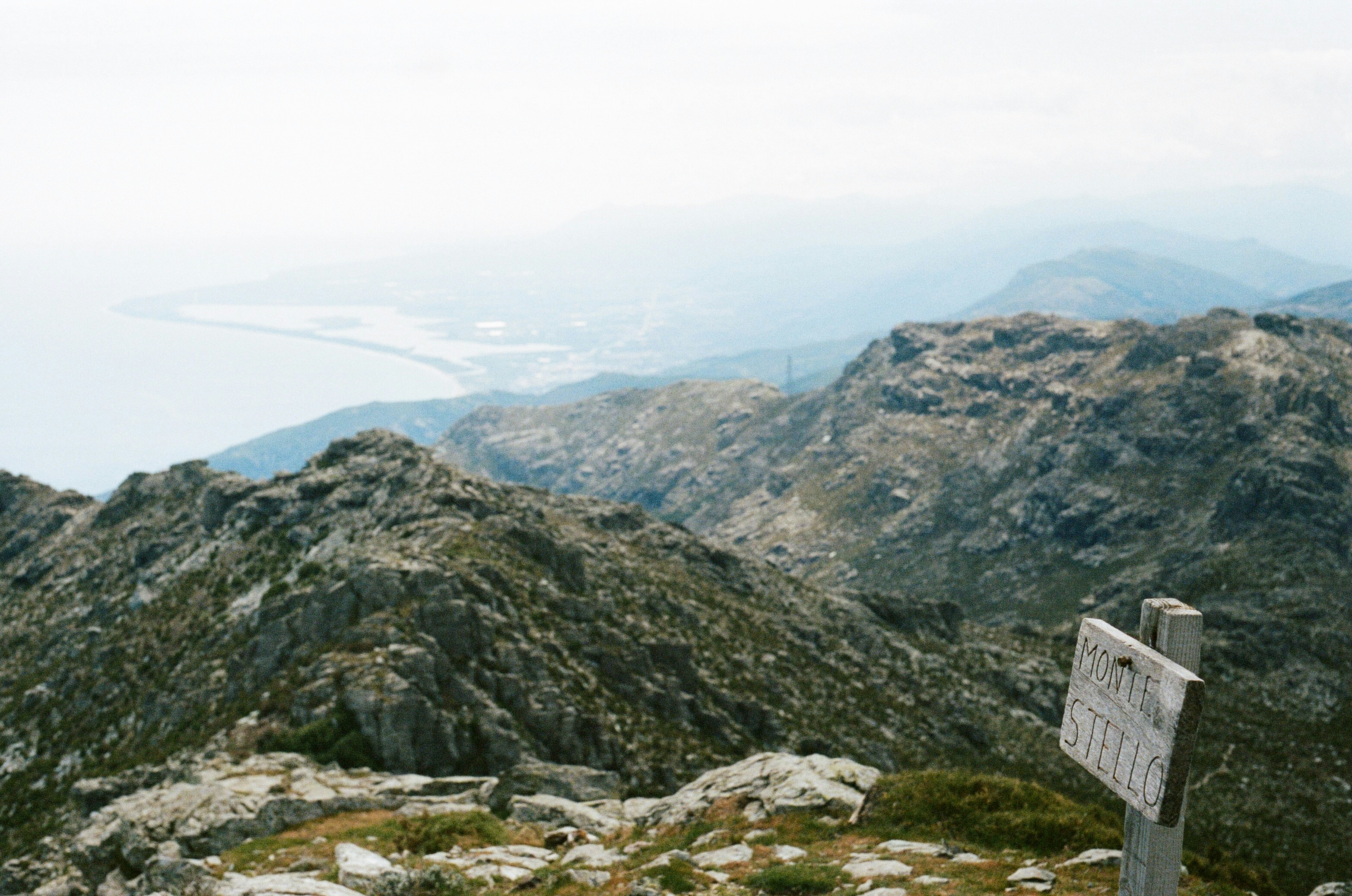 Photo by anunesphotos