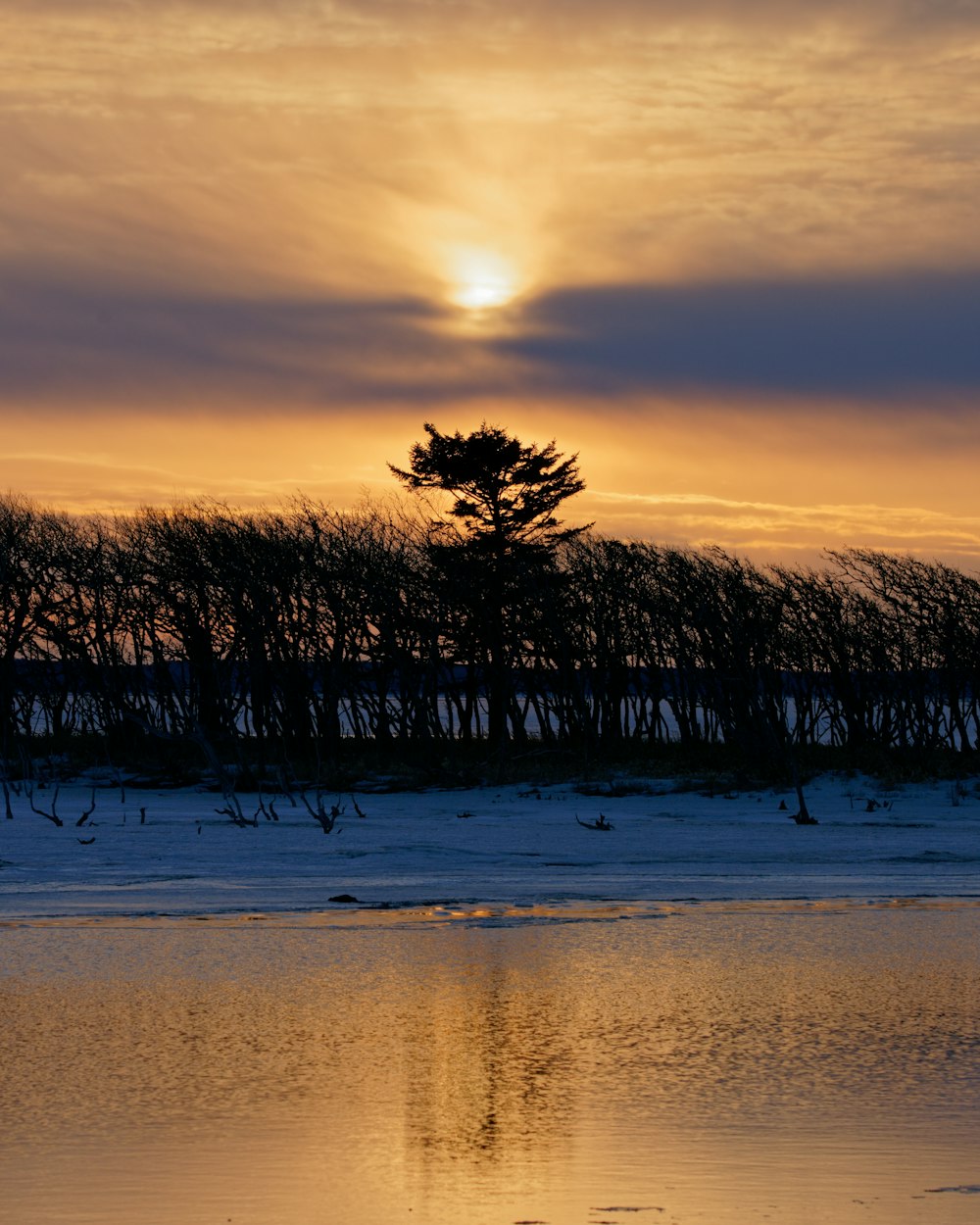 the sun is setting over the water and trees