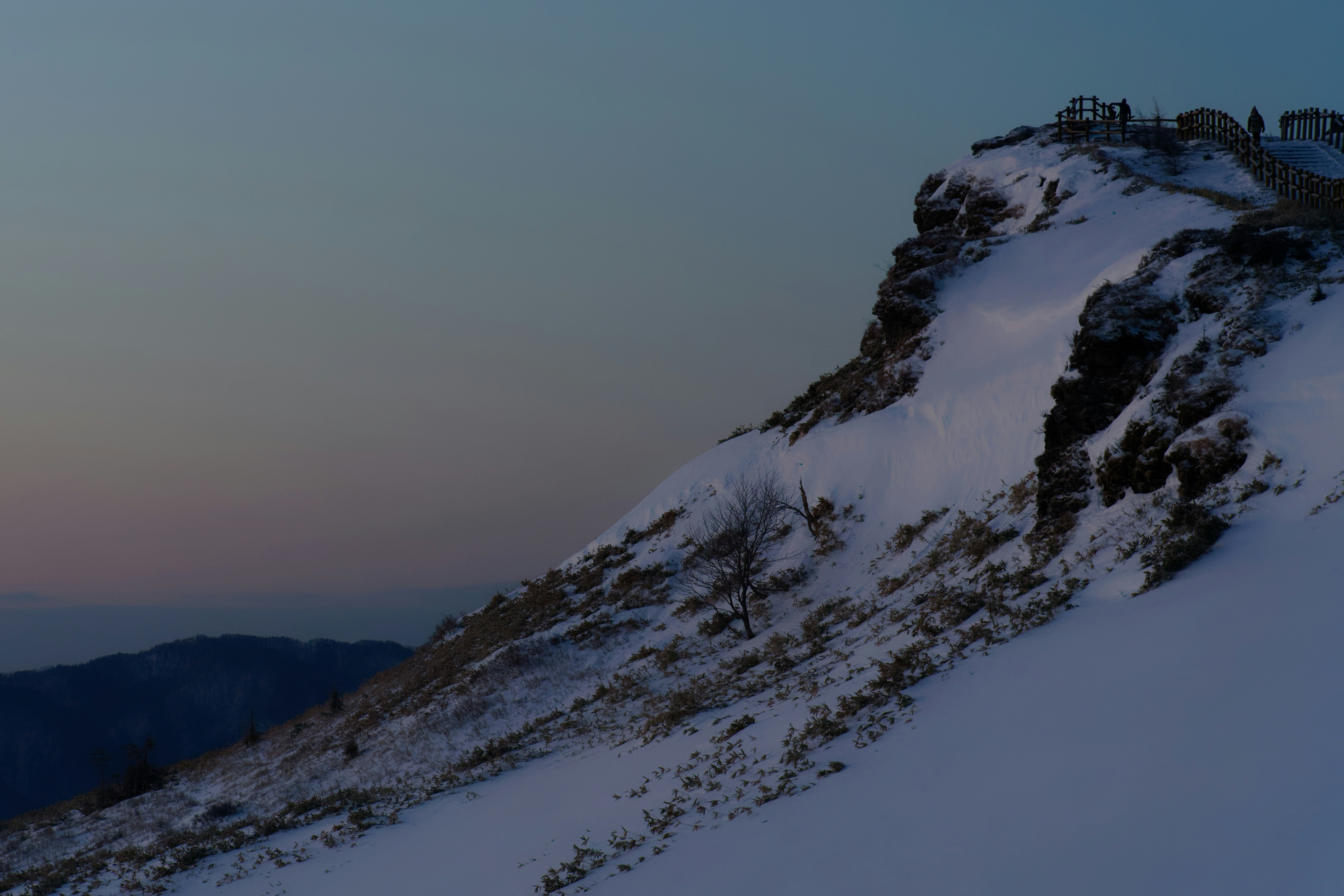 親子真相曝光！別再假裝愛了，這才是教養崩壞的根源！