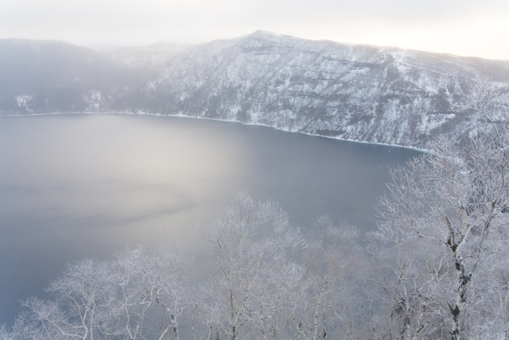 a large body of water surrounded by snow covered trees