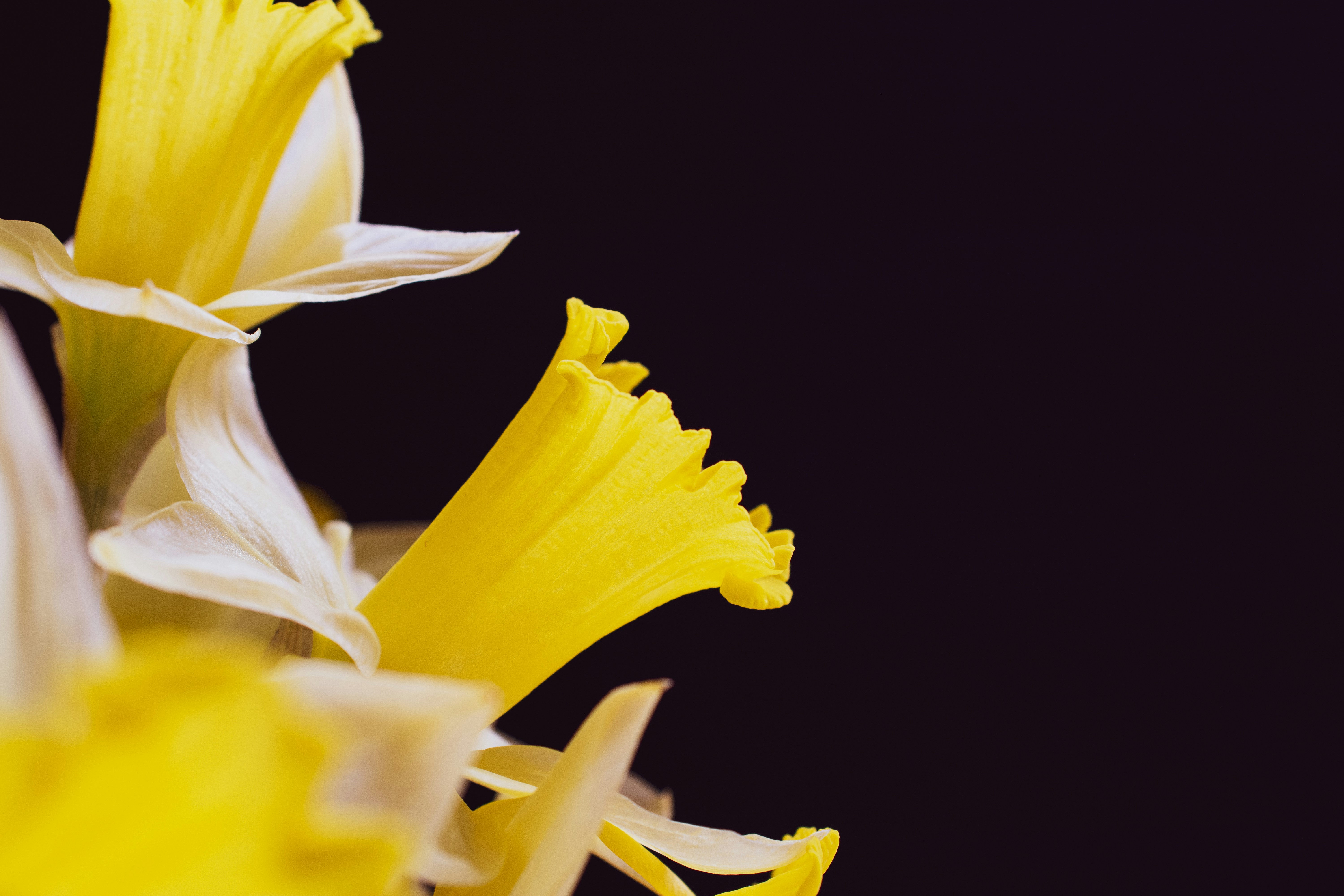 Photo by j_alliban_3000