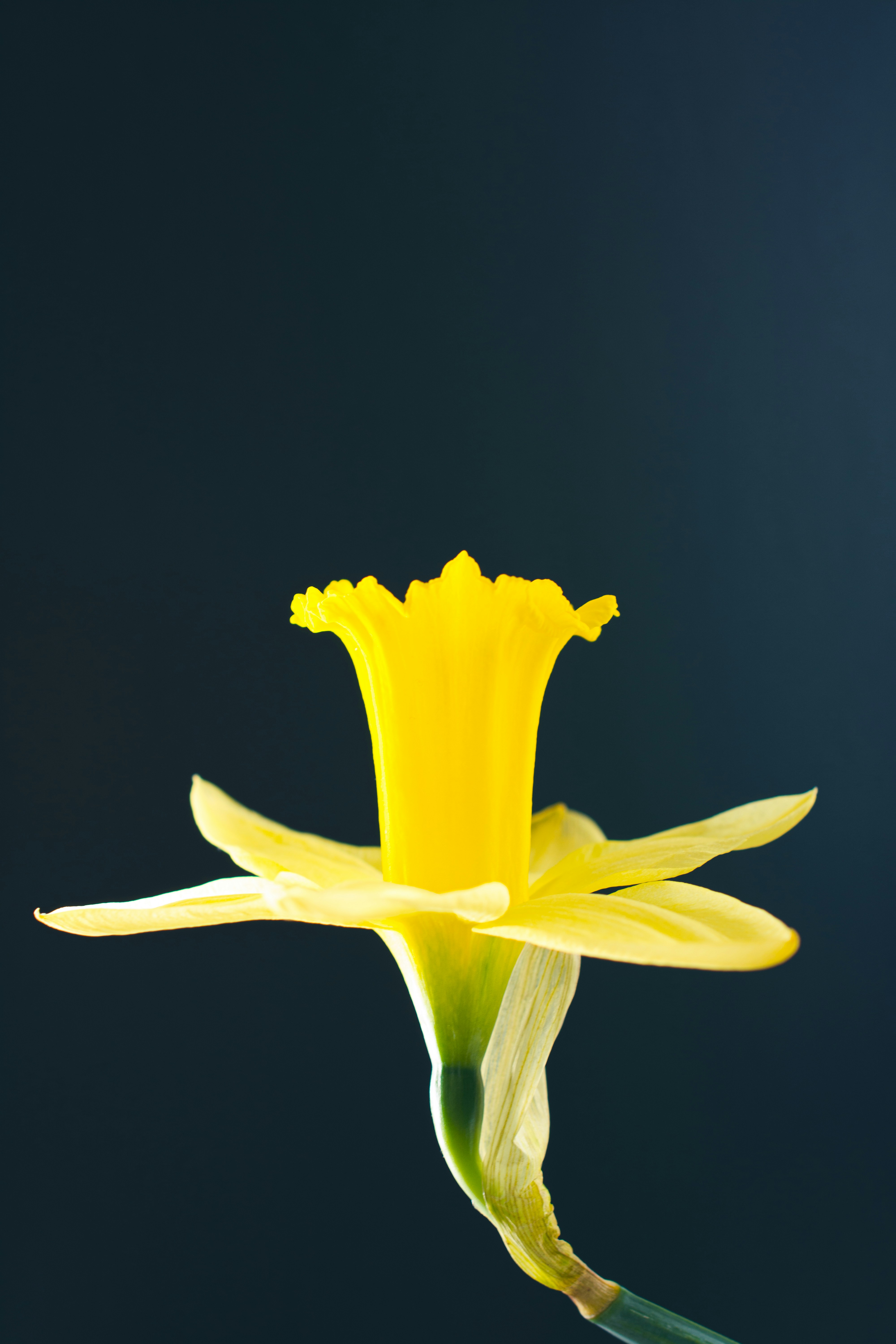 Photo by j_alliban_3000