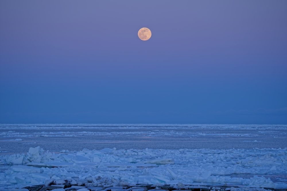 a full moon is seen over the ocean